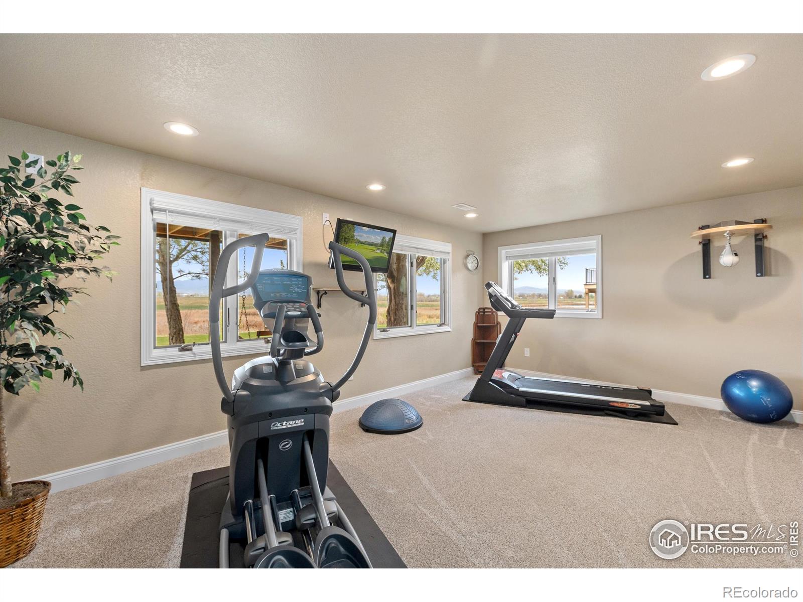 MLS Image #29 for 2601  mckenzie drive,loveland, Colorado