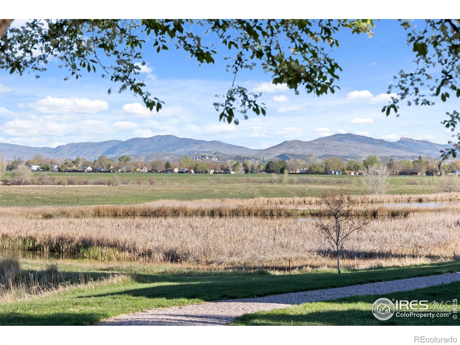 MLS Image #39 for 2601  mckenzie drive,loveland, Colorado