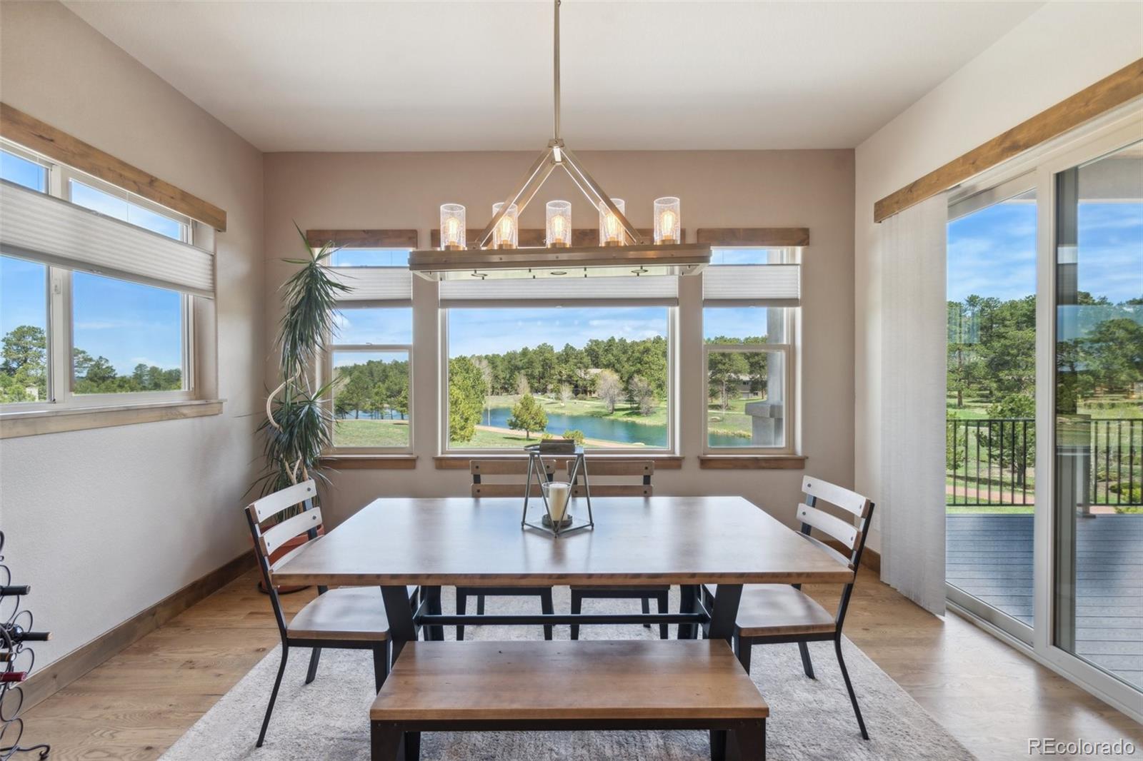 MLS Image #22 for 3898  deboodt court,colorado springs, Colorado