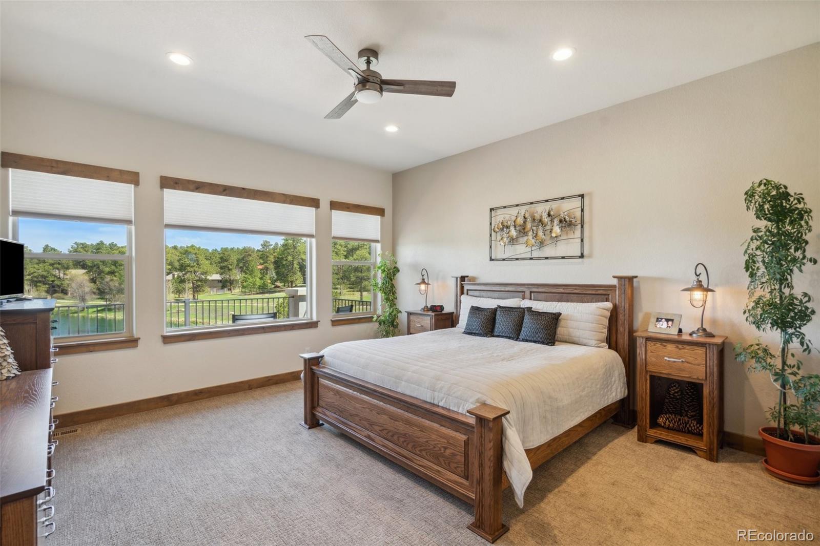MLS Image #31 for 3898  deboodt court,colorado springs, Colorado