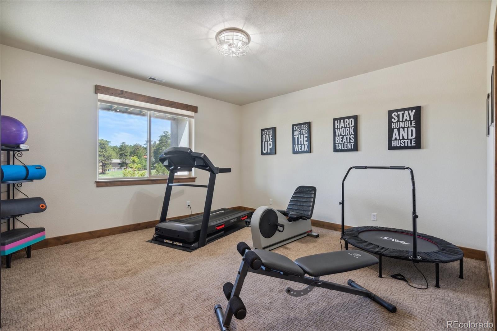 MLS Image #45 for 3898  deboodt court,colorado springs, Colorado