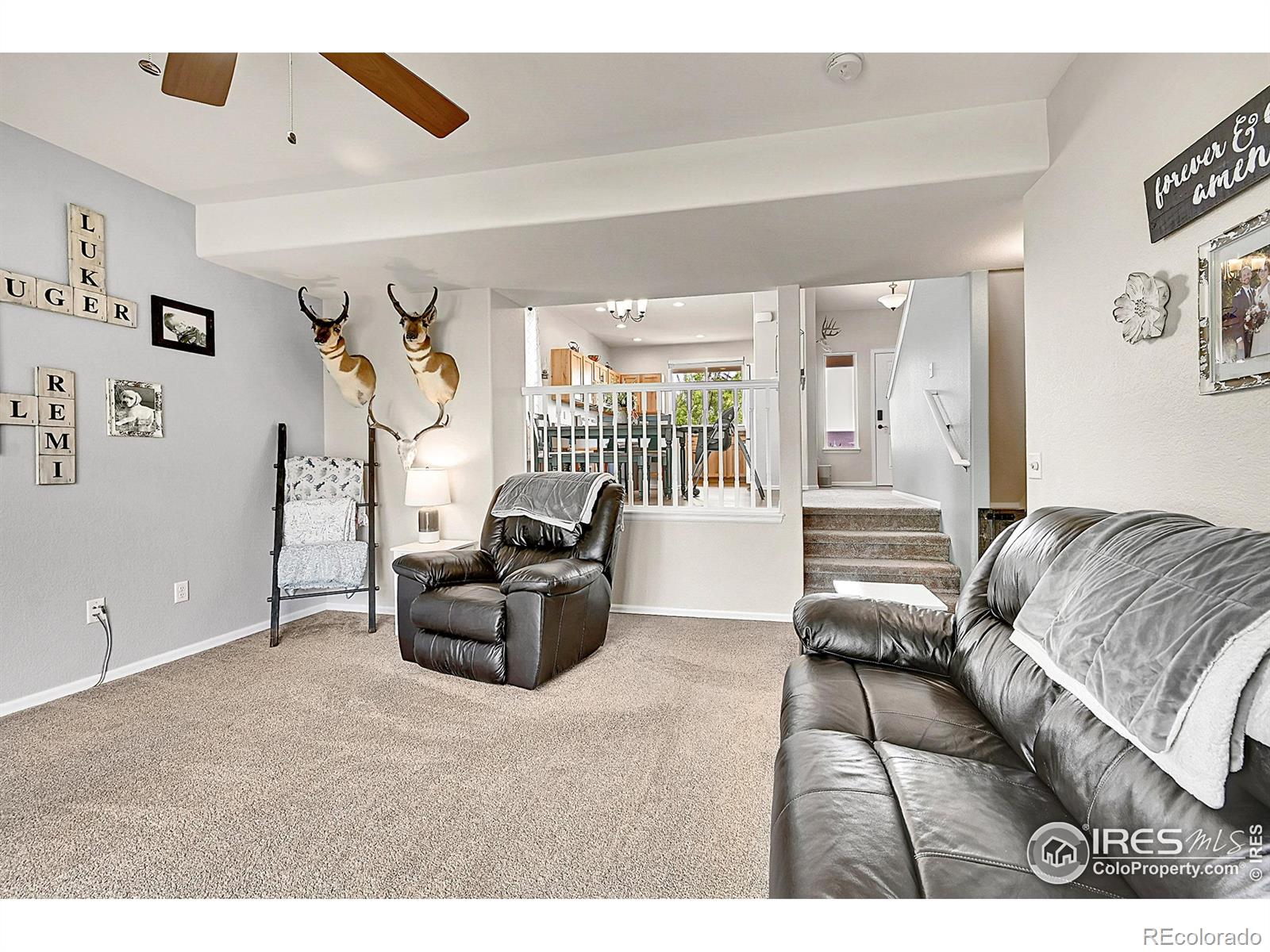 MLS Image #19 for 711  mt evans avenue,severance, Colorado