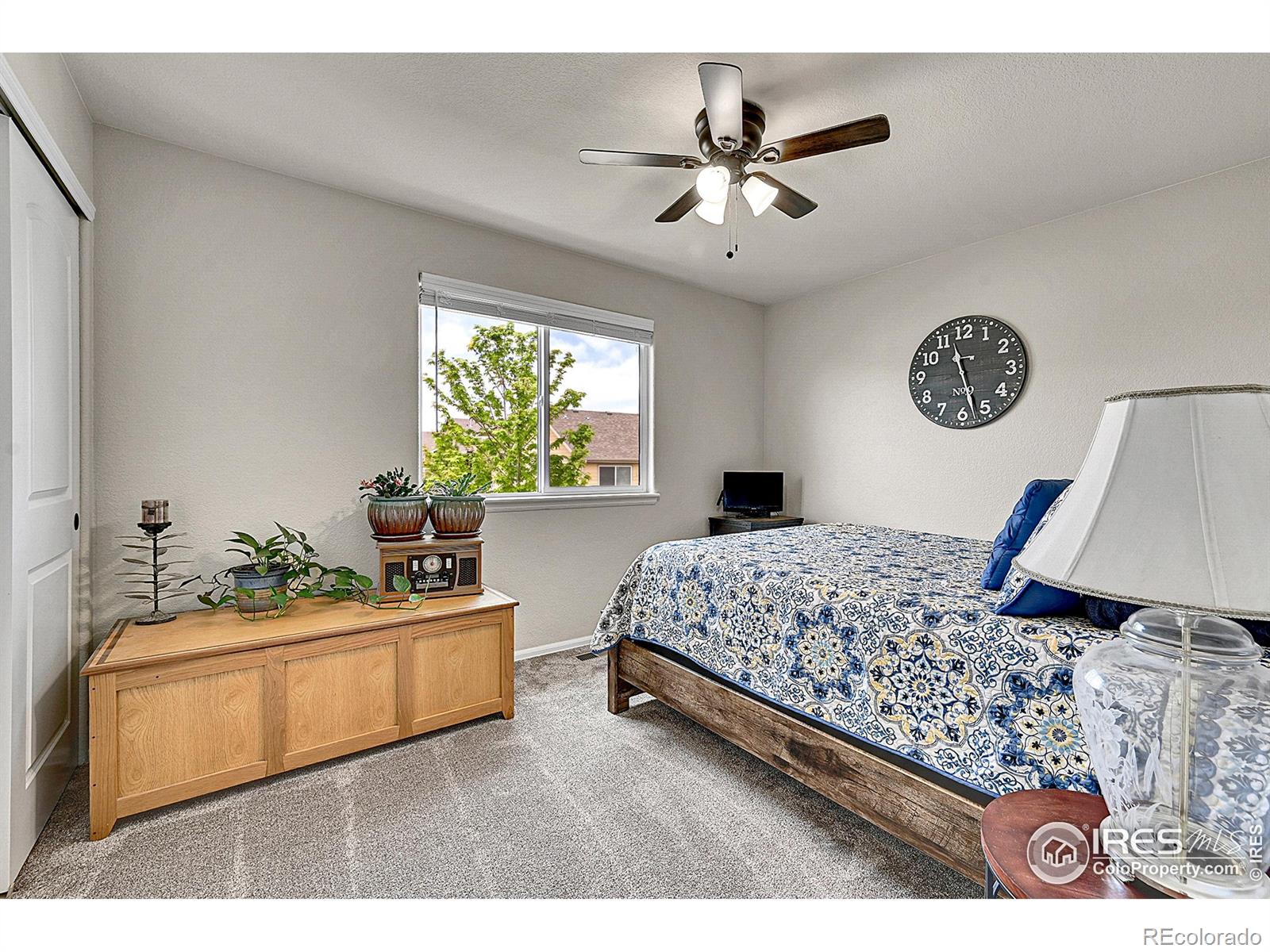 MLS Image #29 for 711  mt evans avenue,severance, Colorado