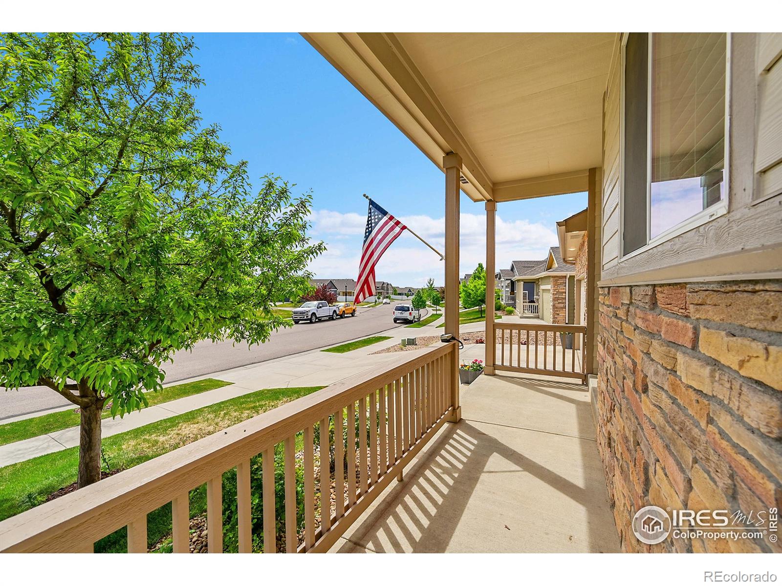 MLS Image #7 for 711  mt evans avenue,severance, Colorado