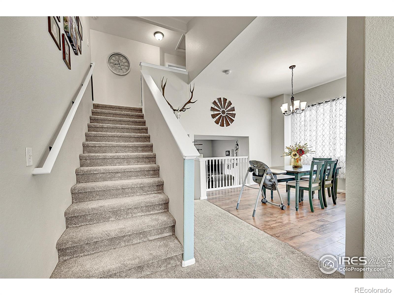 MLS Image #9 for 711  mt evans avenue,severance, Colorado