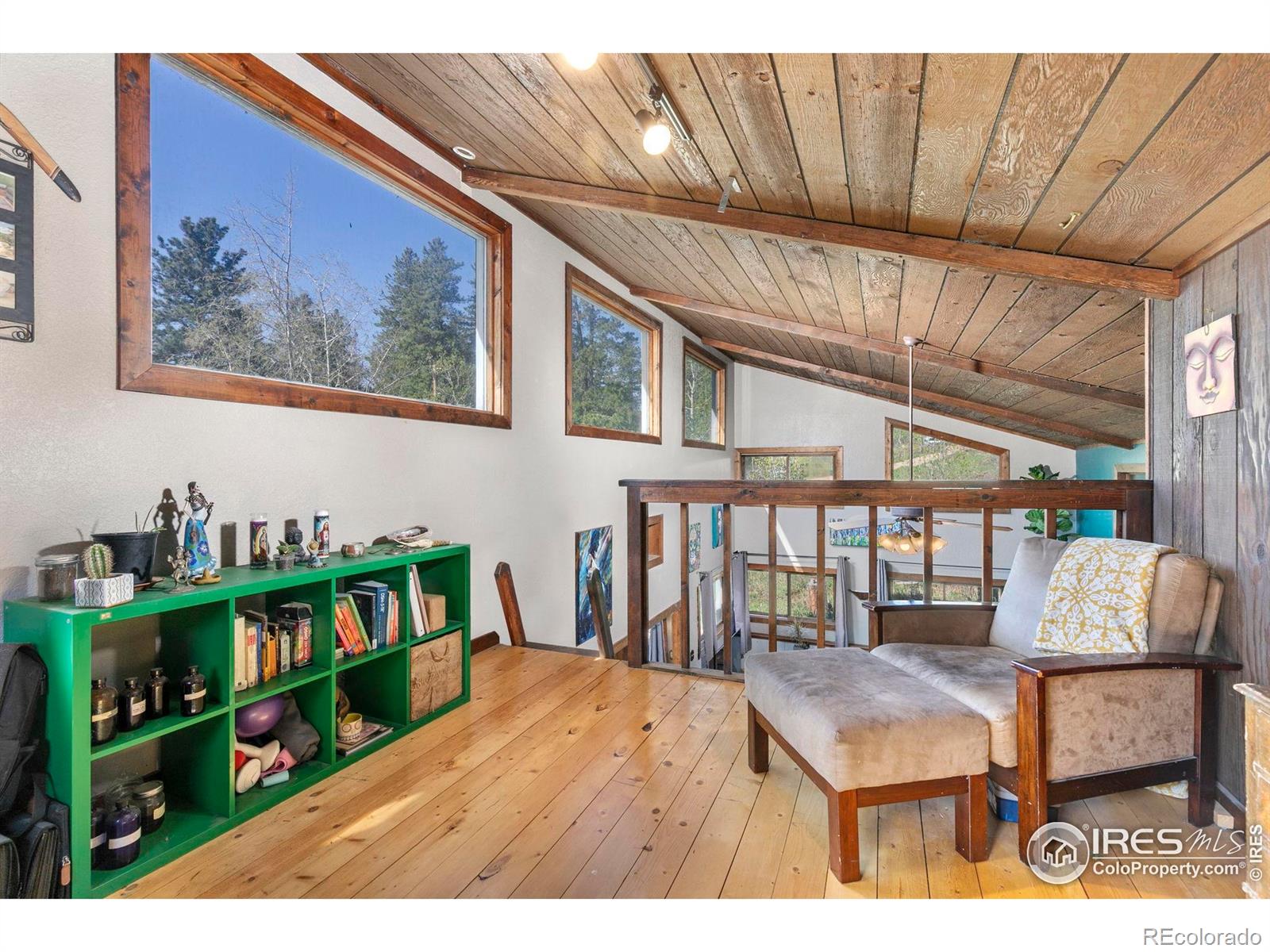 MLS Image #15 for 1824  lazy z road,nederland, Colorado