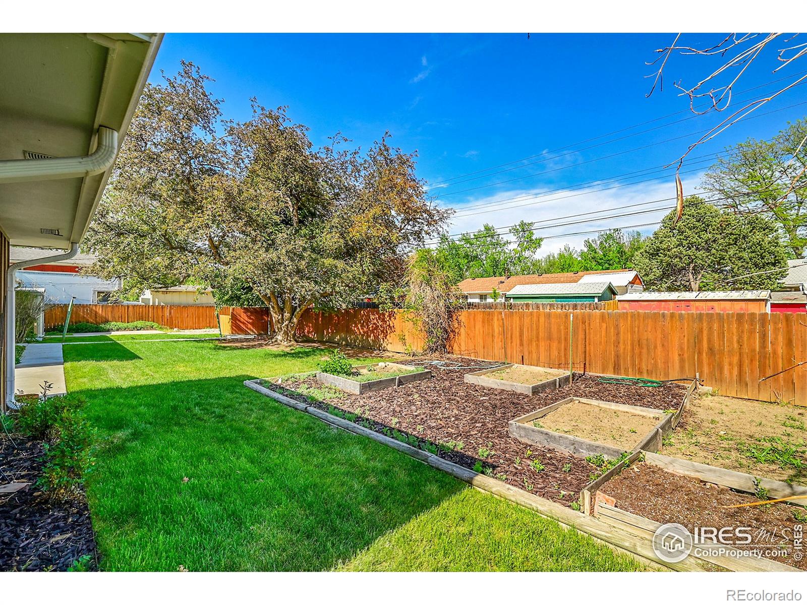 MLS Image #24 for 1800  atwood street,longmont, Colorado