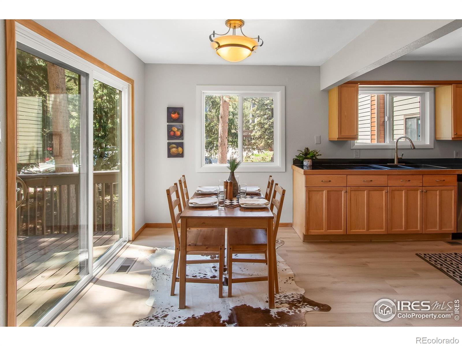 MLS Image #12 for 4888  silver spruce lane,evergreen, Colorado