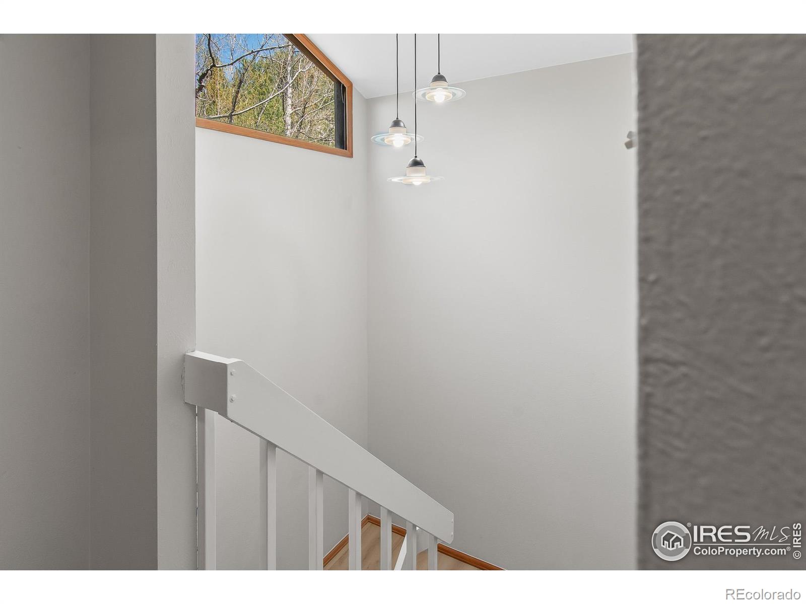 MLS Image #19 for 4888  silver spruce lane,evergreen, Colorado