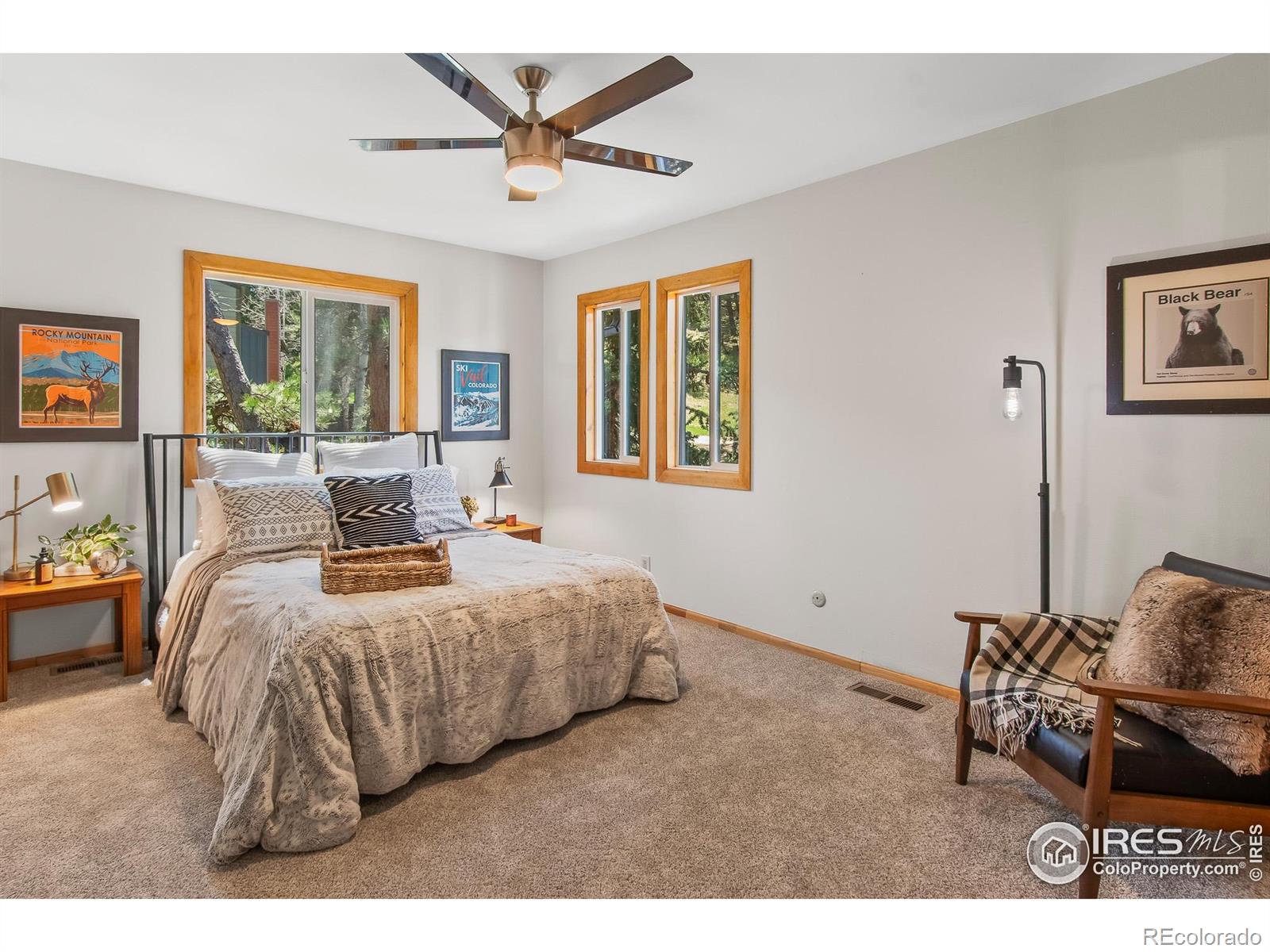 MLS Image #26 for 4888  silver spruce lane,evergreen, Colorado
