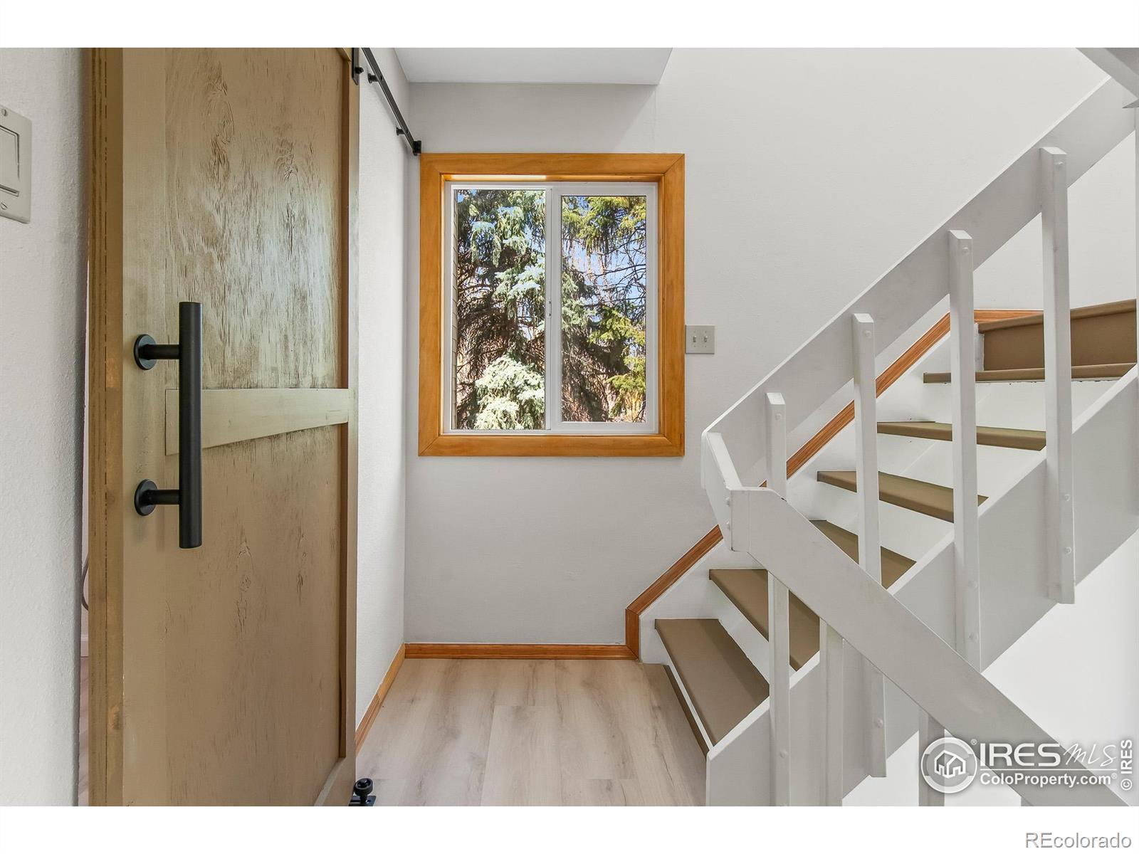 MLS Image #7 for 4888  silver spruce lane,evergreen, Colorado