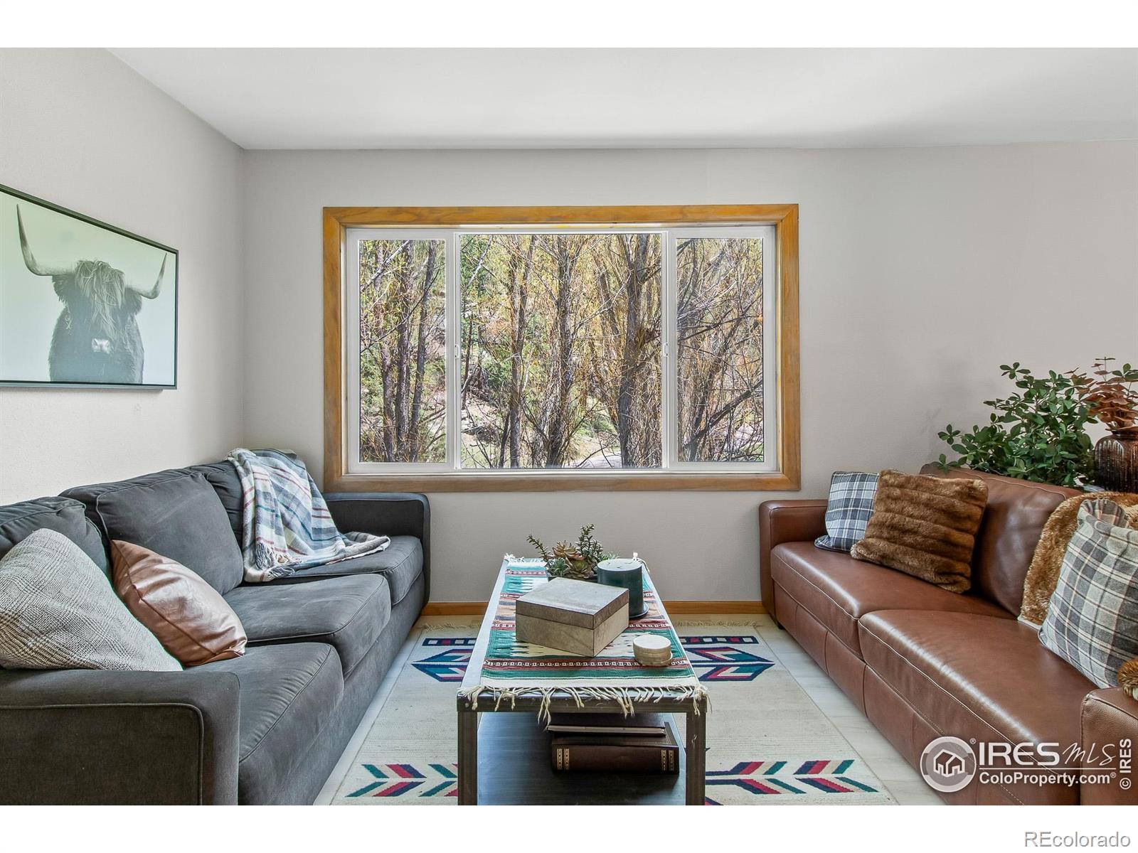 MLS Image #9 for 4888  silver spruce lane,evergreen, Colorado