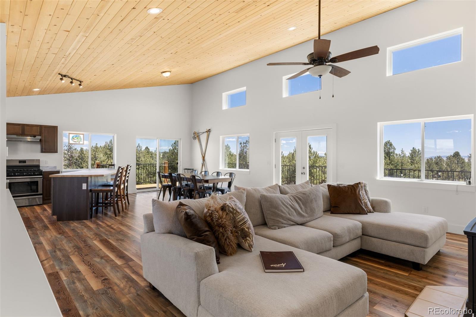 MLS Image #14 for 431  rudisill street,fairplay, Colorado