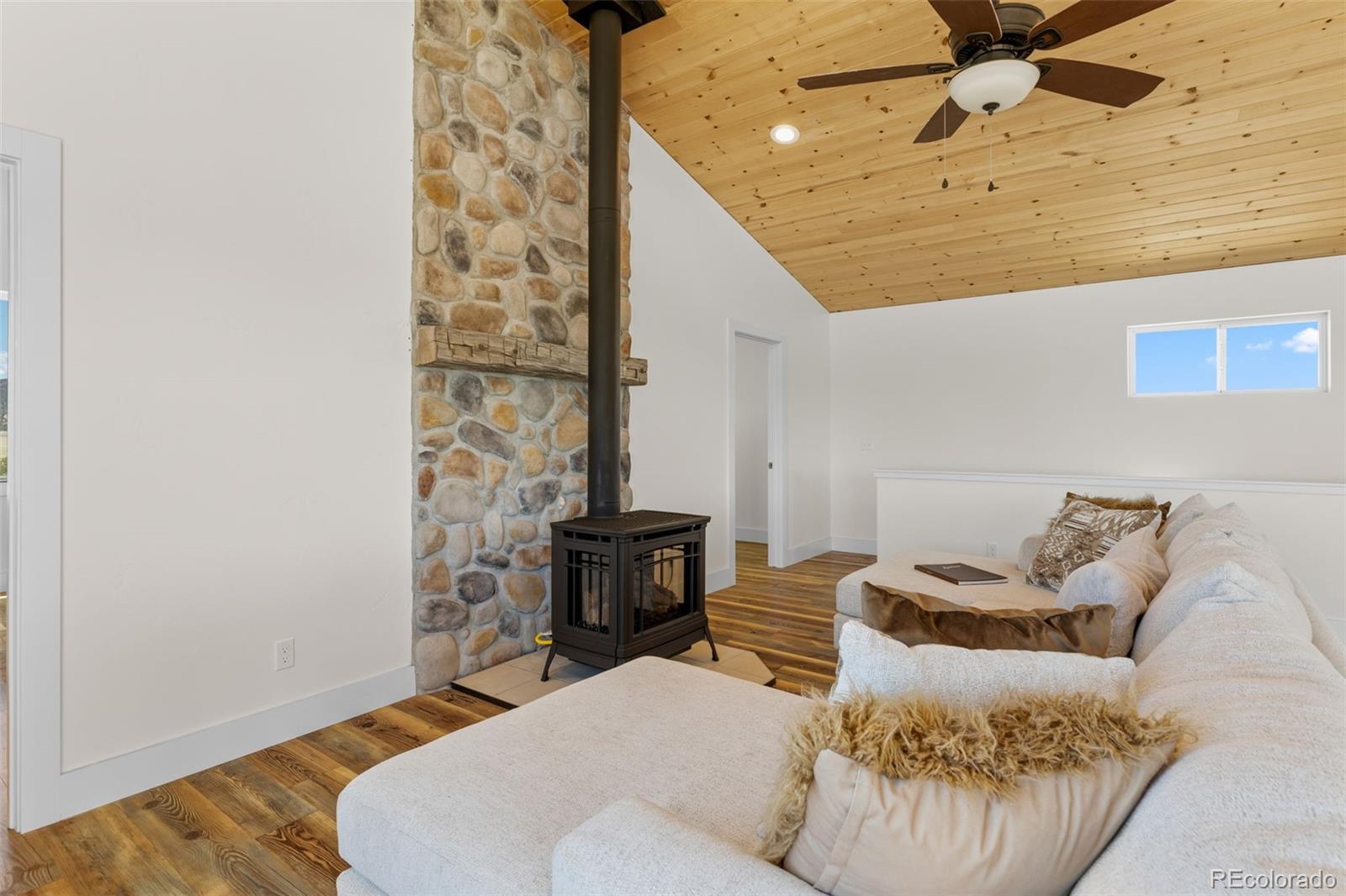 MLS Image #16 for 431  rudisill street,fairplay, Colorado