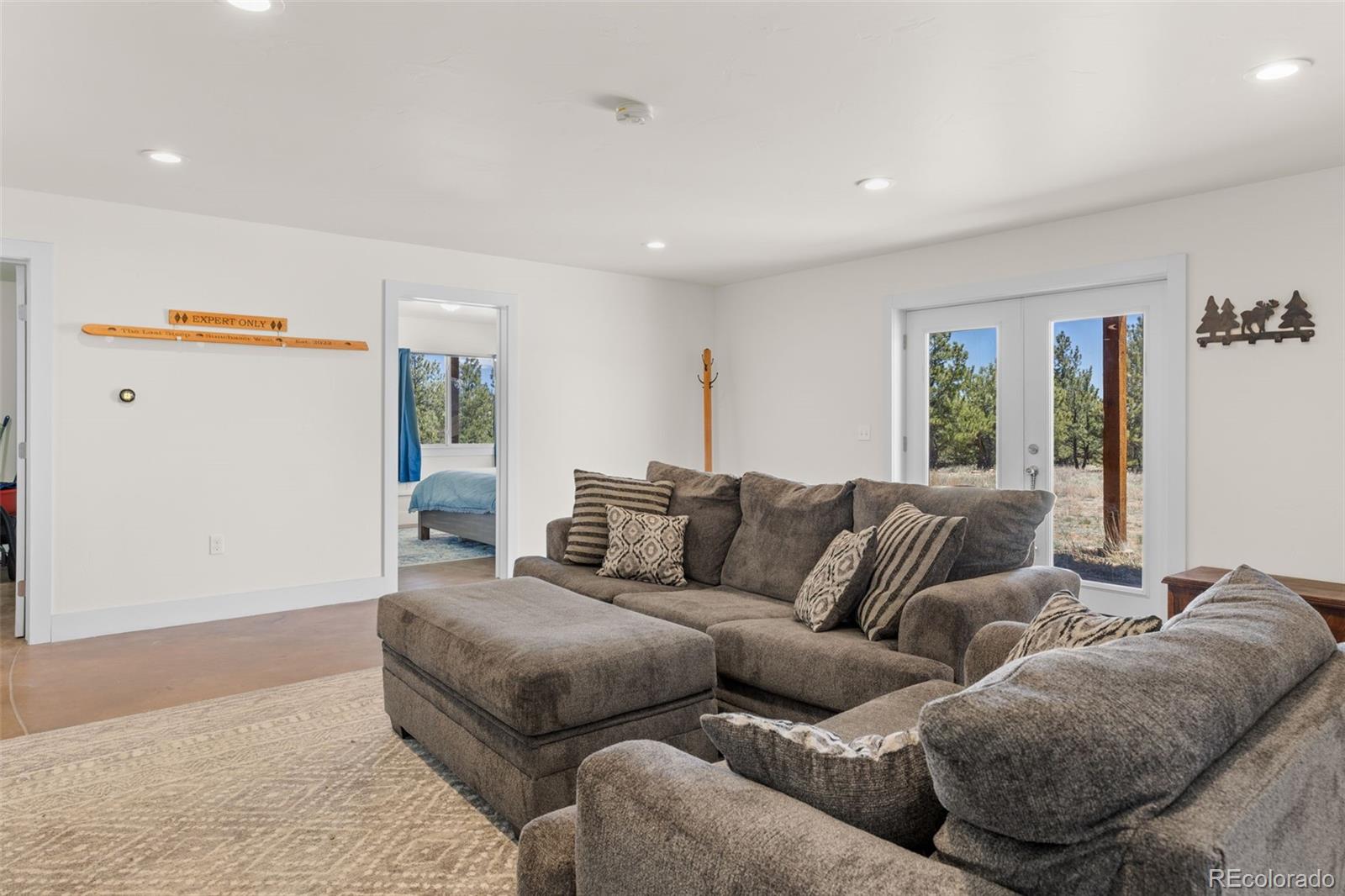 MLS Image #3 for 431  rudisill street,fairplay, Colorado