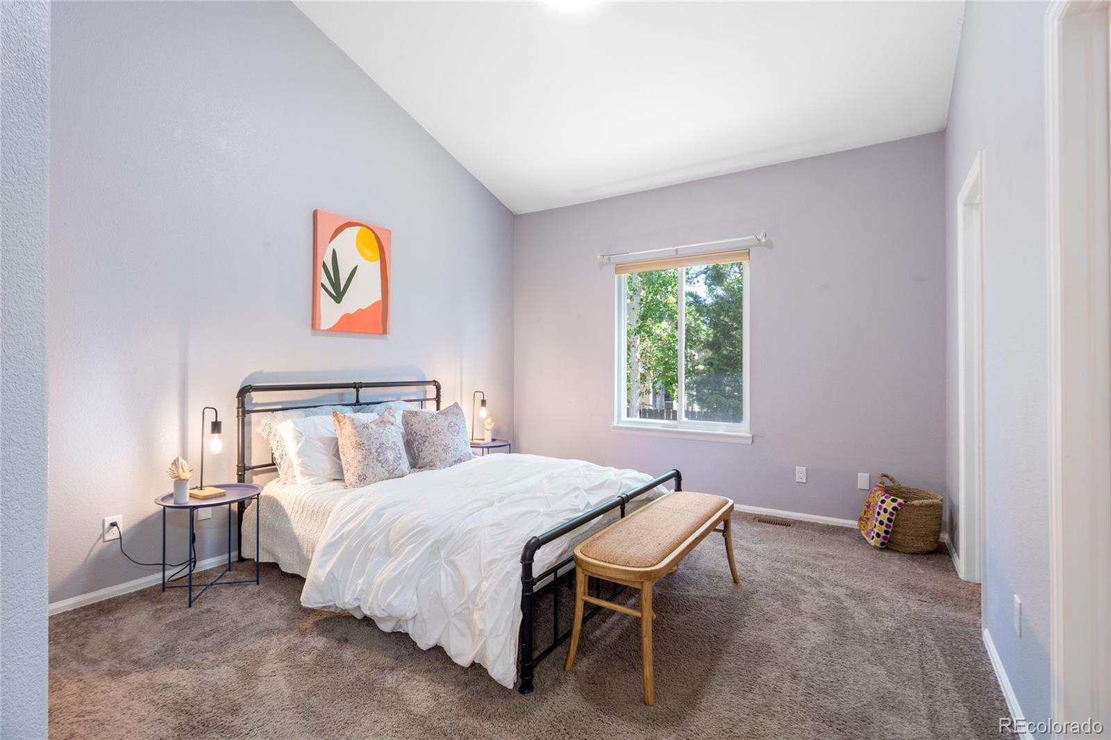 MLS Image #13 for 12666  davis street,broomfield, Colorado