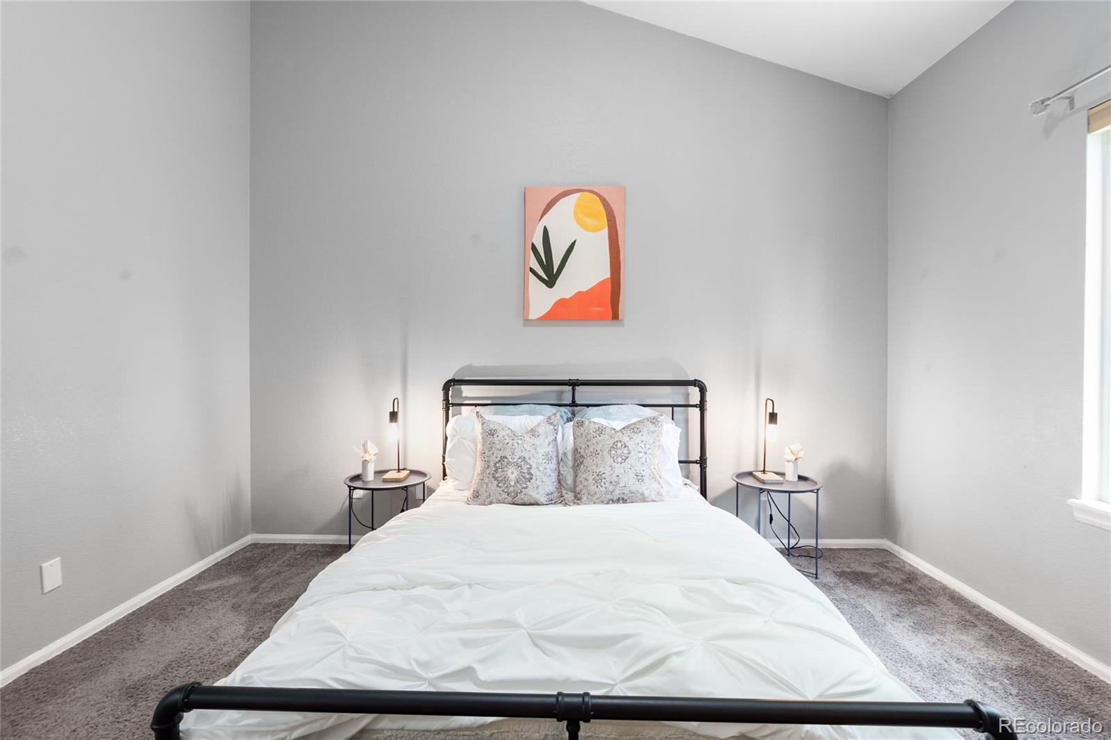 MLS Image #14 for 12666  davis street,broomfield, Colorado