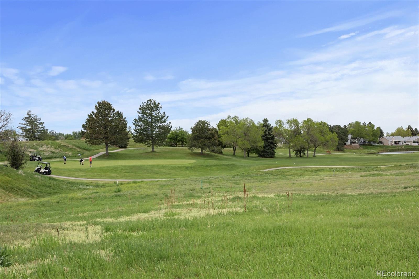MLS Image #15 for 23  shetland court ,highlands ranch, Colorado