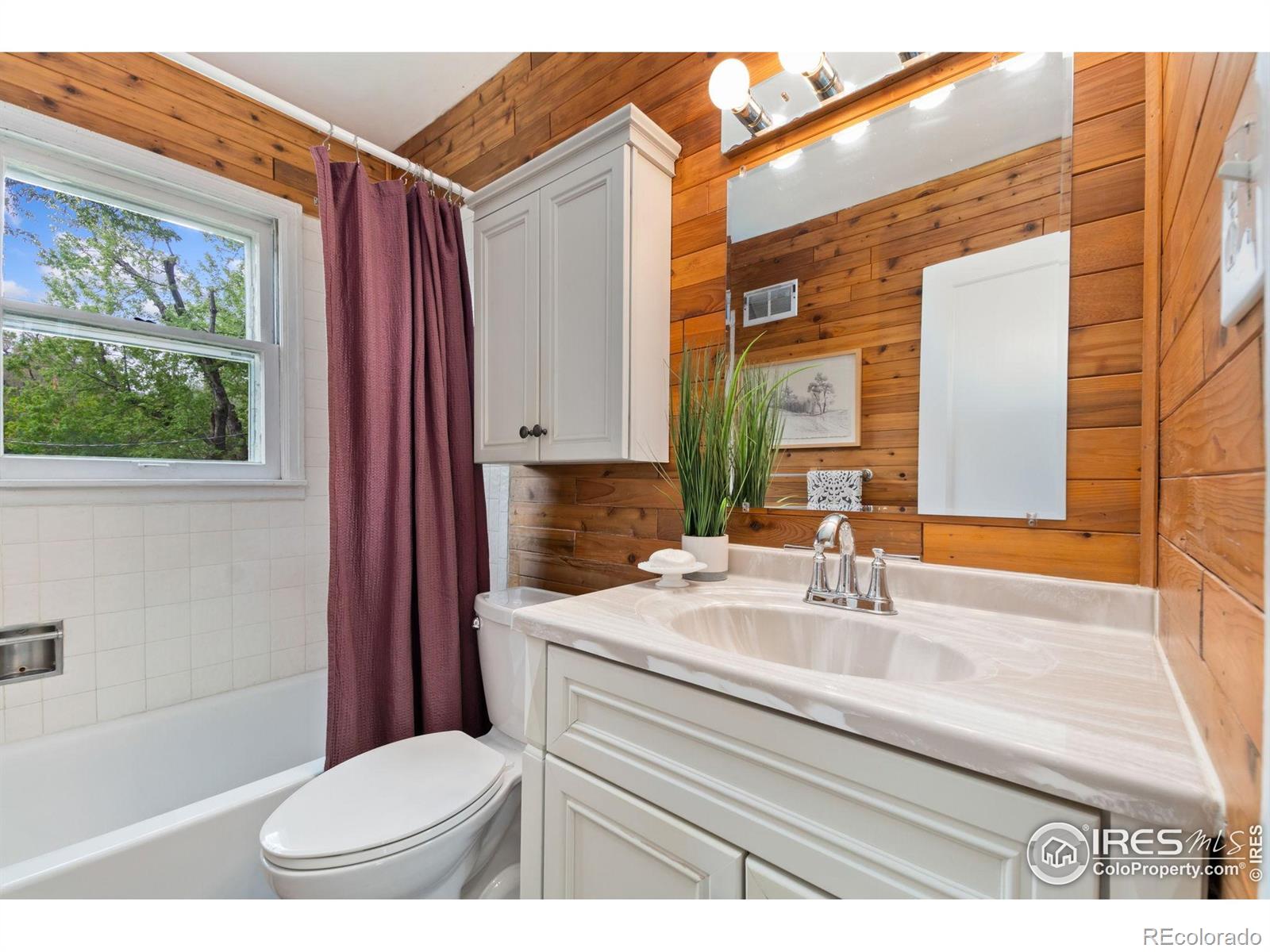 MLS Image #8 for 2022  ford street,golden, Colorado