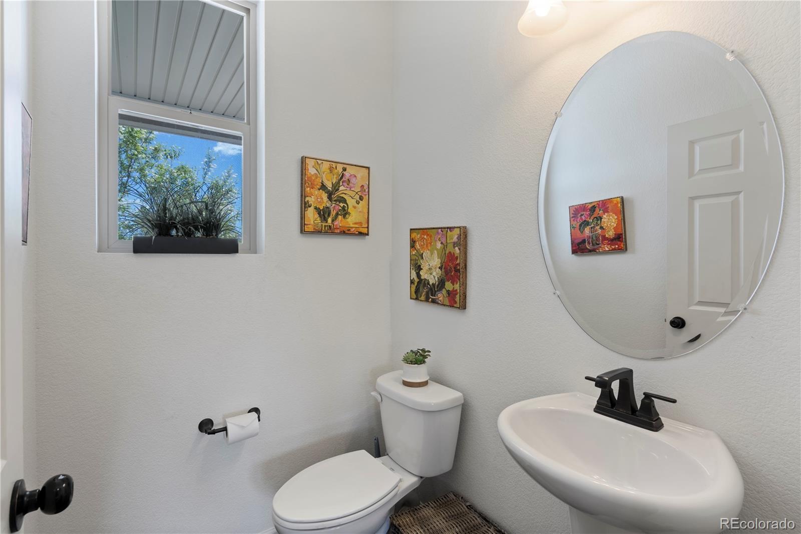 MLS Image #11 for 8764  briar brush lane,colorado springs, Colorado