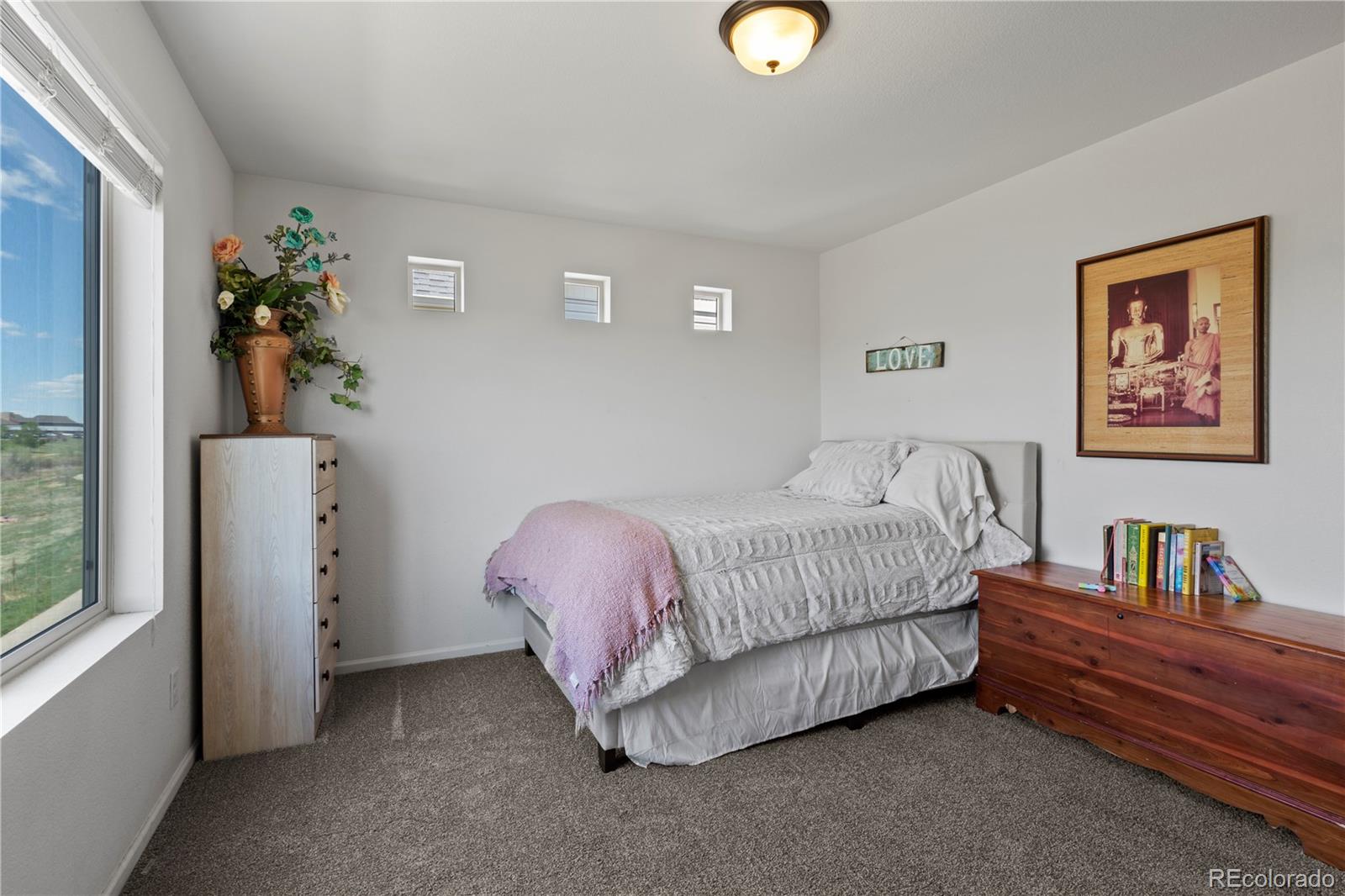 MLS Image #18 for 8764  briar brush lane,colorado springs, Colorado