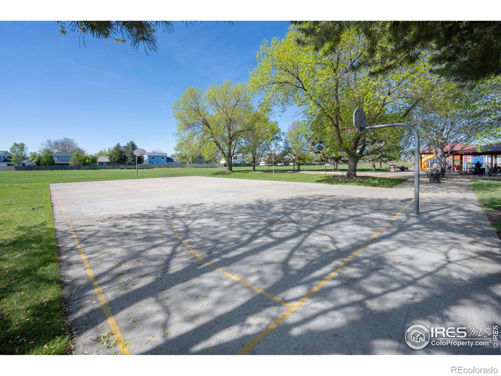 MLS Image #29 for 713  arrow court,lafayette, Colorado