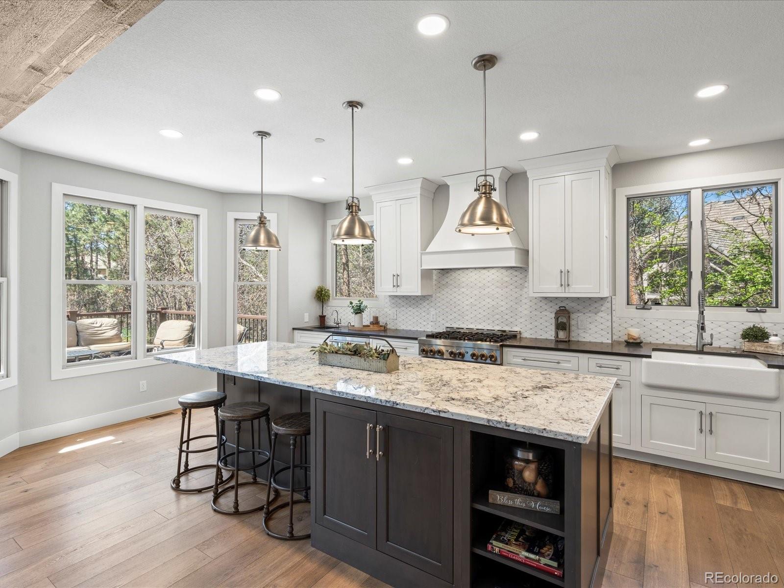 MLS Image #12 for 484  hyland drive,castle rock, Colorado