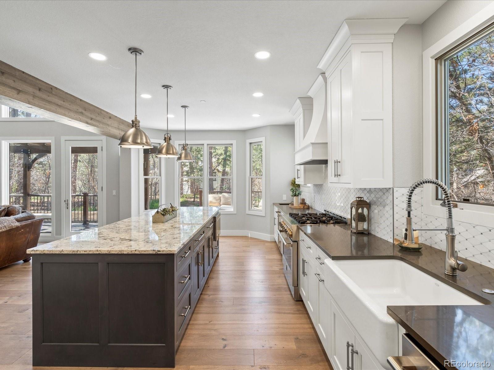 MLS Image #14 for 484  hyland drive,castle rock, Colorado