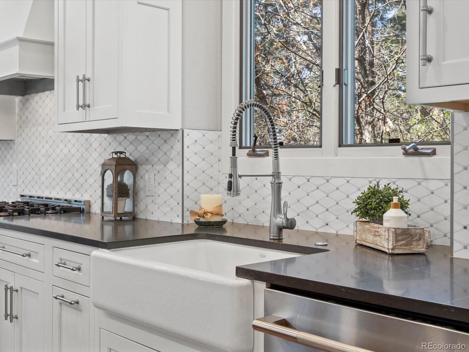 MLS Image #17 for 484  hyland drive,castle rock, Colorado