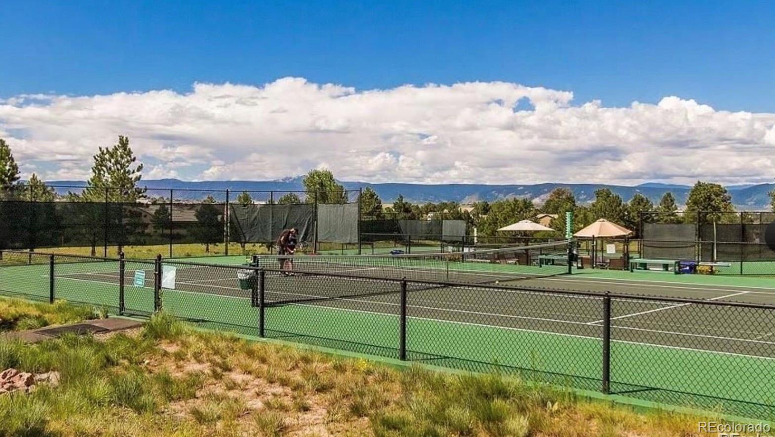 MLS Image #45 for 484  hyland drive,castle rock, Colorado