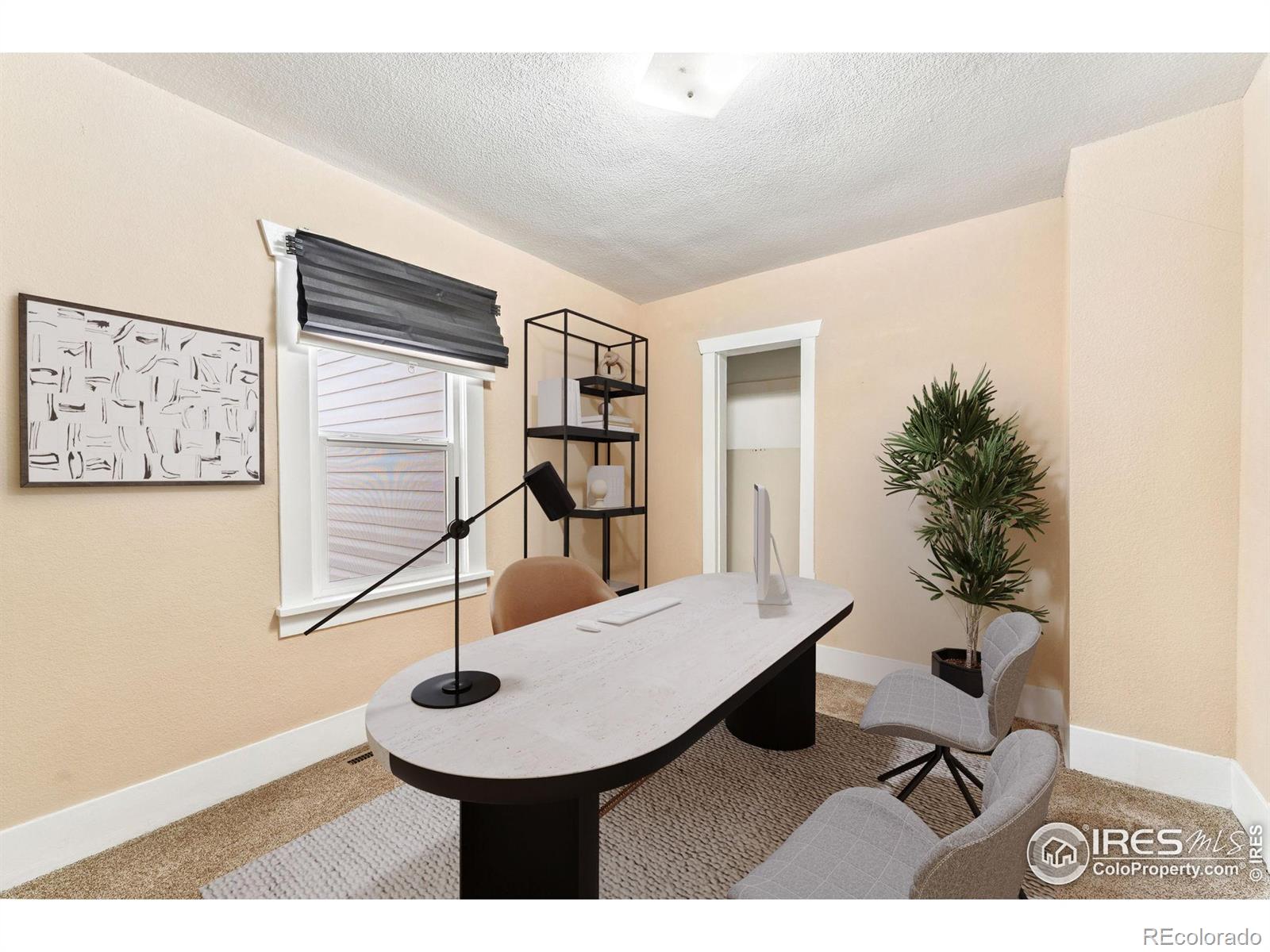MLS Image #13 for 6058 s hill street,littleton, Colorado