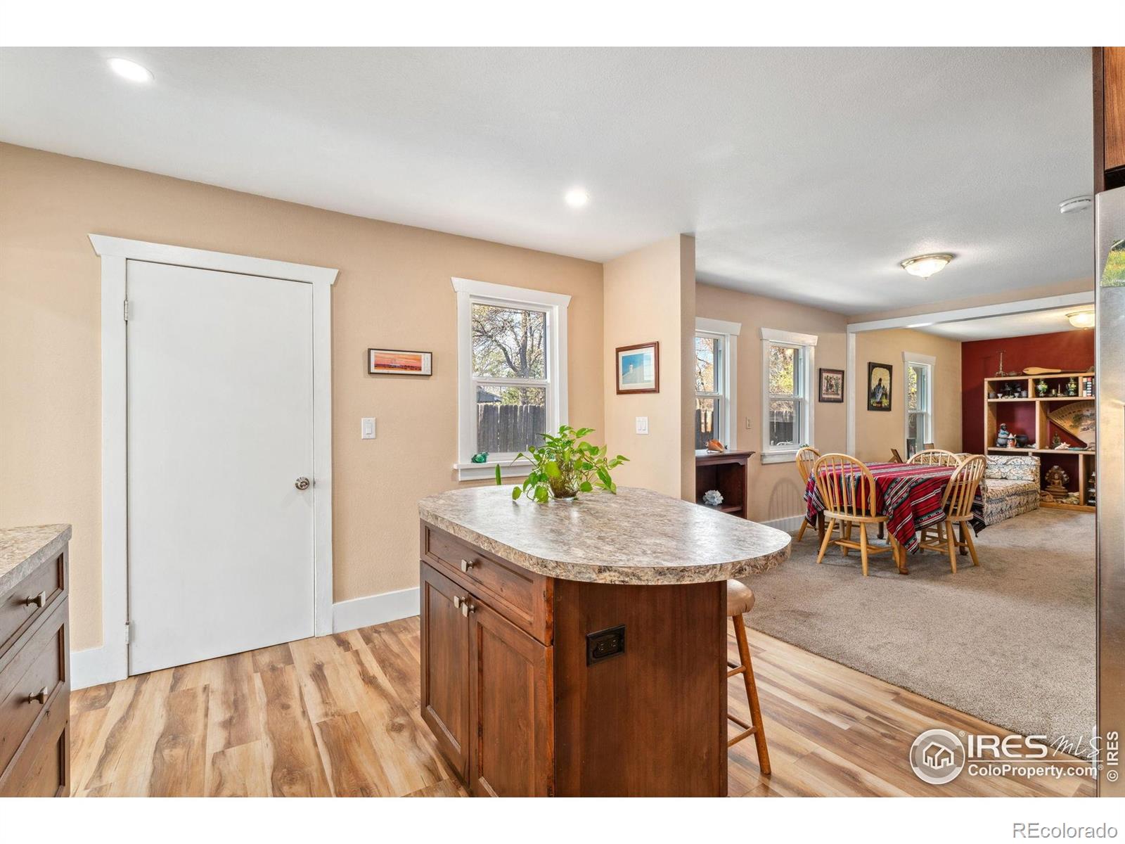 MLS Image #9 for 6058 s hill street,littleton, Colorado