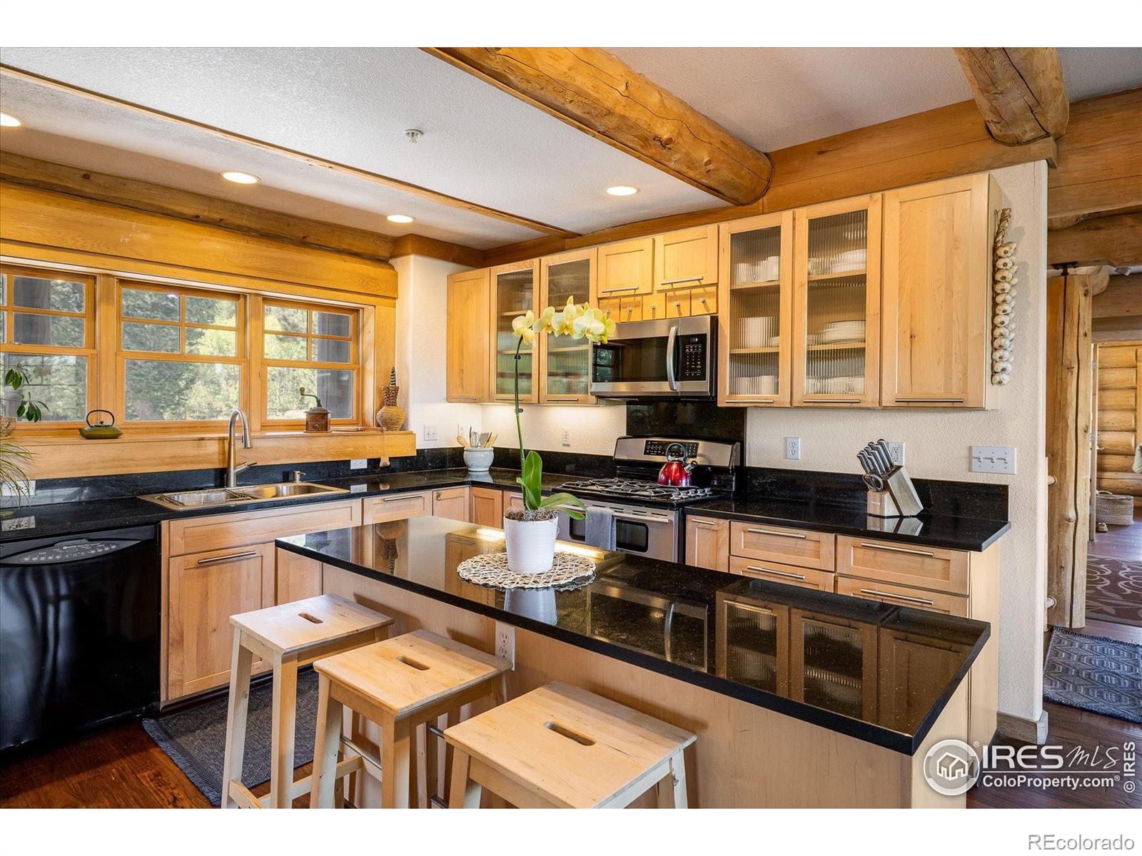 MLS Image #10 for 351  county road 128n ,nederland, Colorado