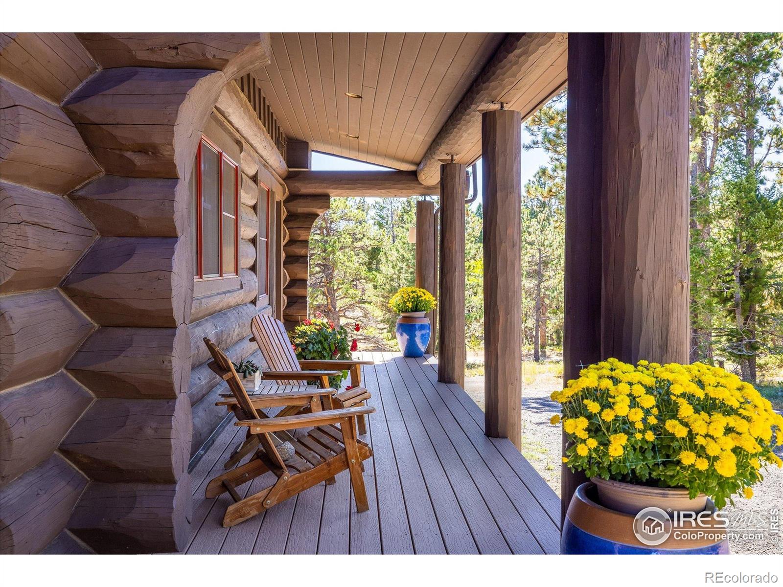 MLS Image #4 for 351  county road 128n ,nederland, Colorado