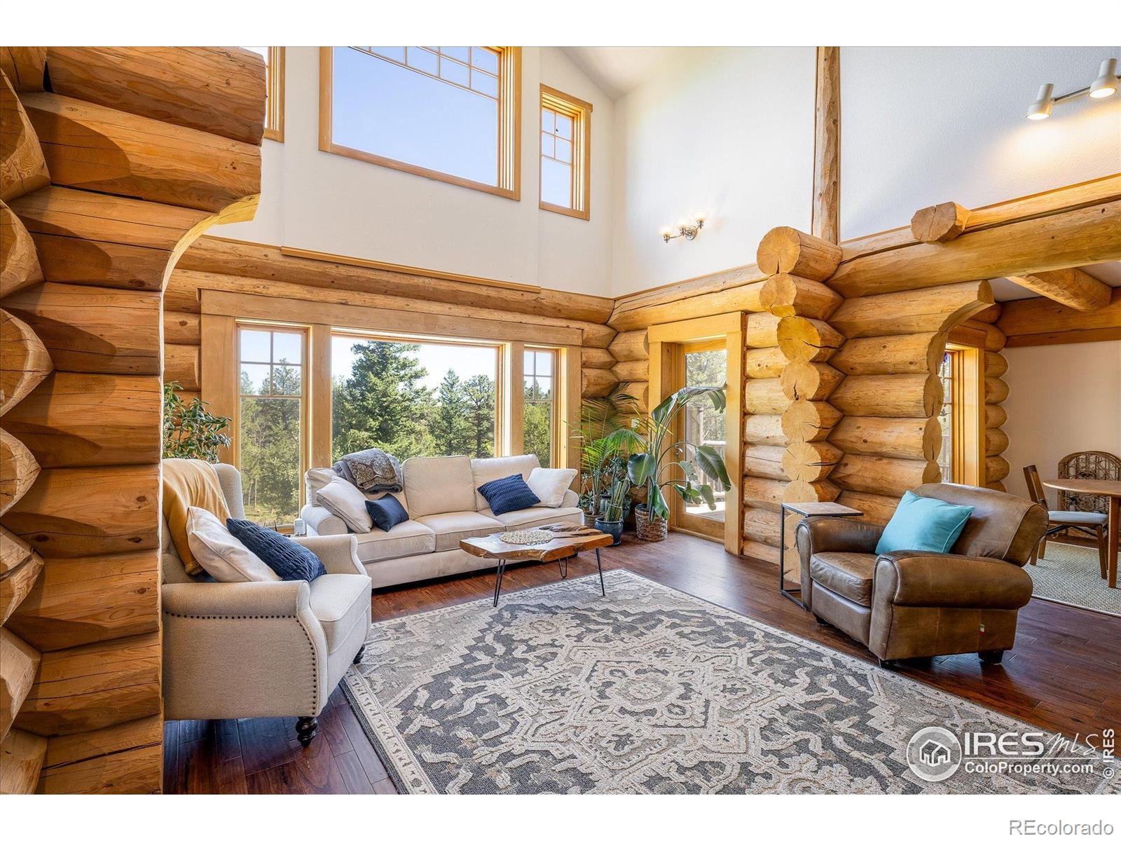 MLS Image #7 for 351  county road 128n ,nederland, Colorado