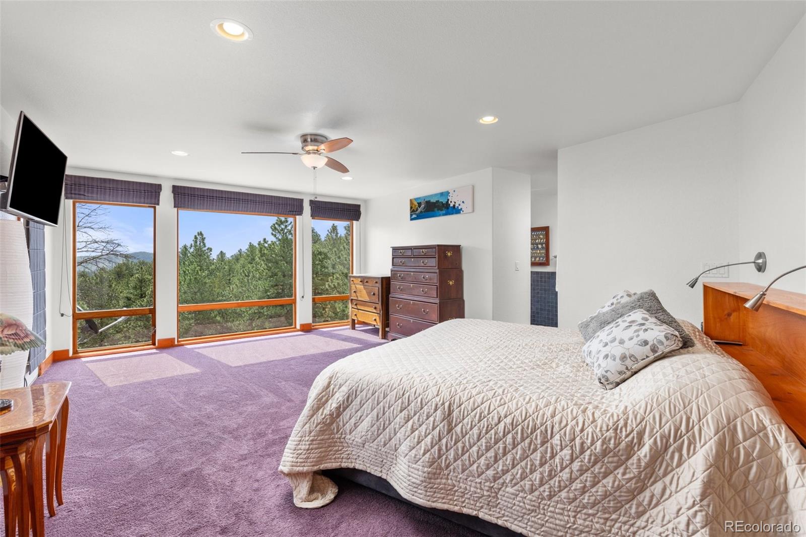MLS Image #18 for 729  sawmill road,loveland, Colorado