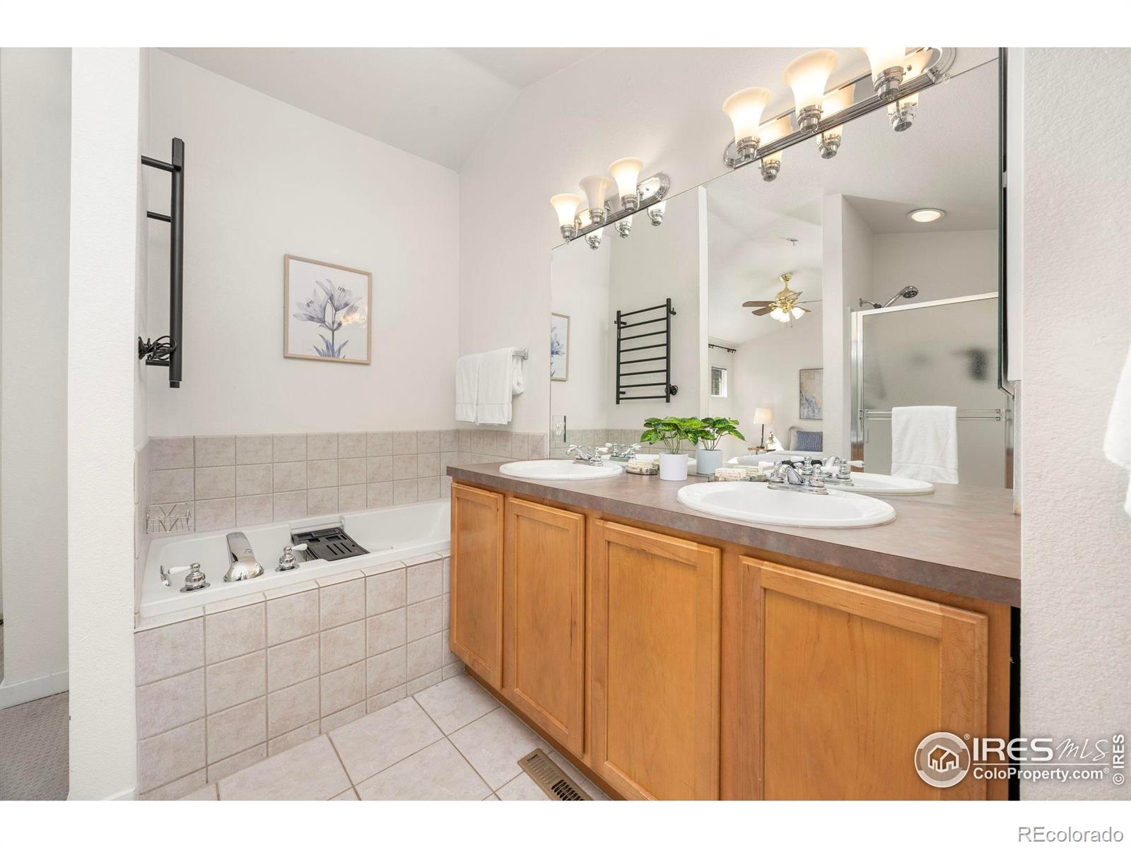 MLS Image #10 for 14246  pikeminnow place,broomfield, Colorado