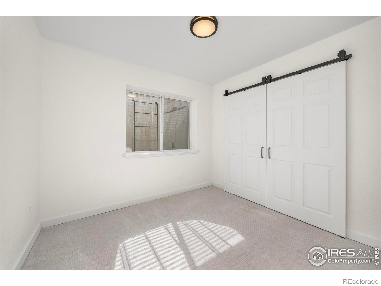 MLS Image #19 for 14246  pikeminnow place,broomfield, Colorado