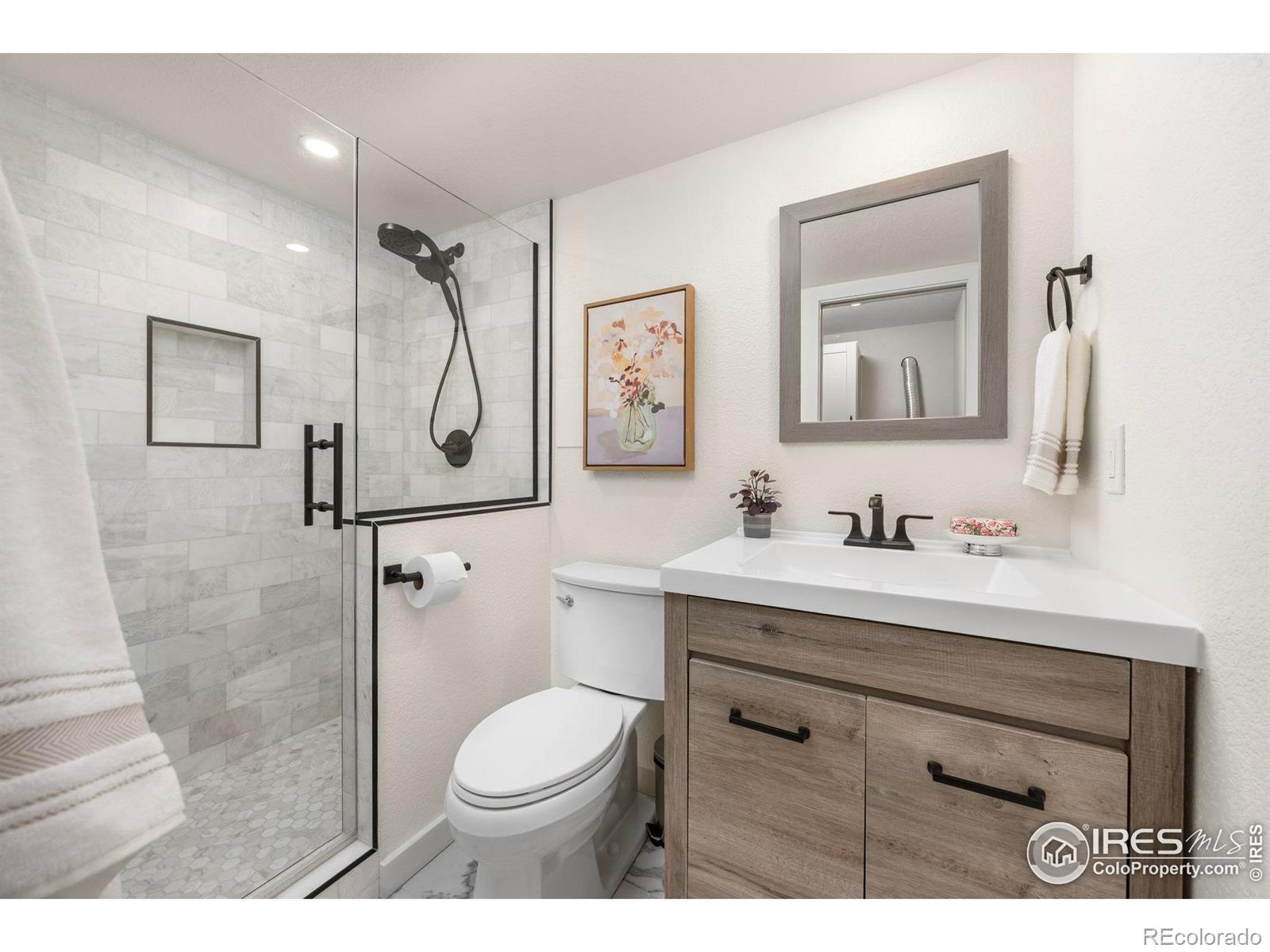 MLS Image #20 for 14246  pikeminnow place,broomfield, Colorado
