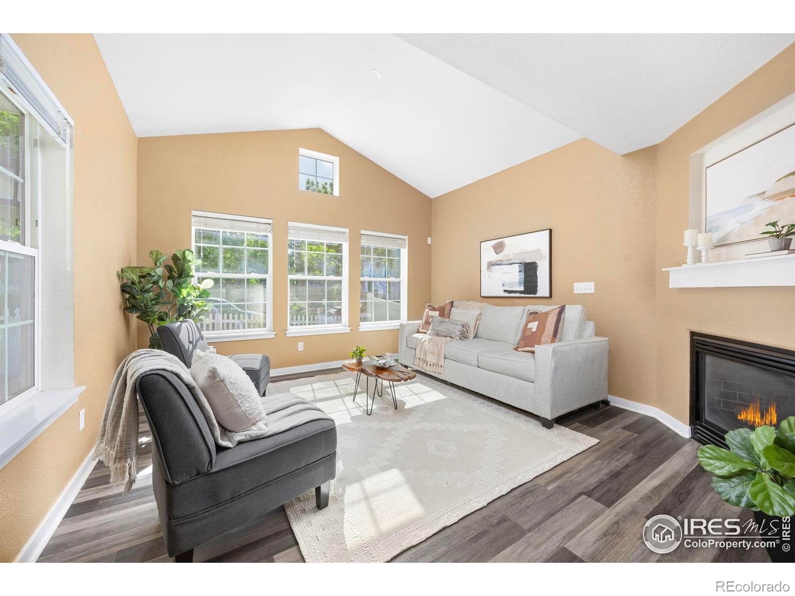 MLS Image #3 for 14246  pikeminnow place,broomfield, Colorado