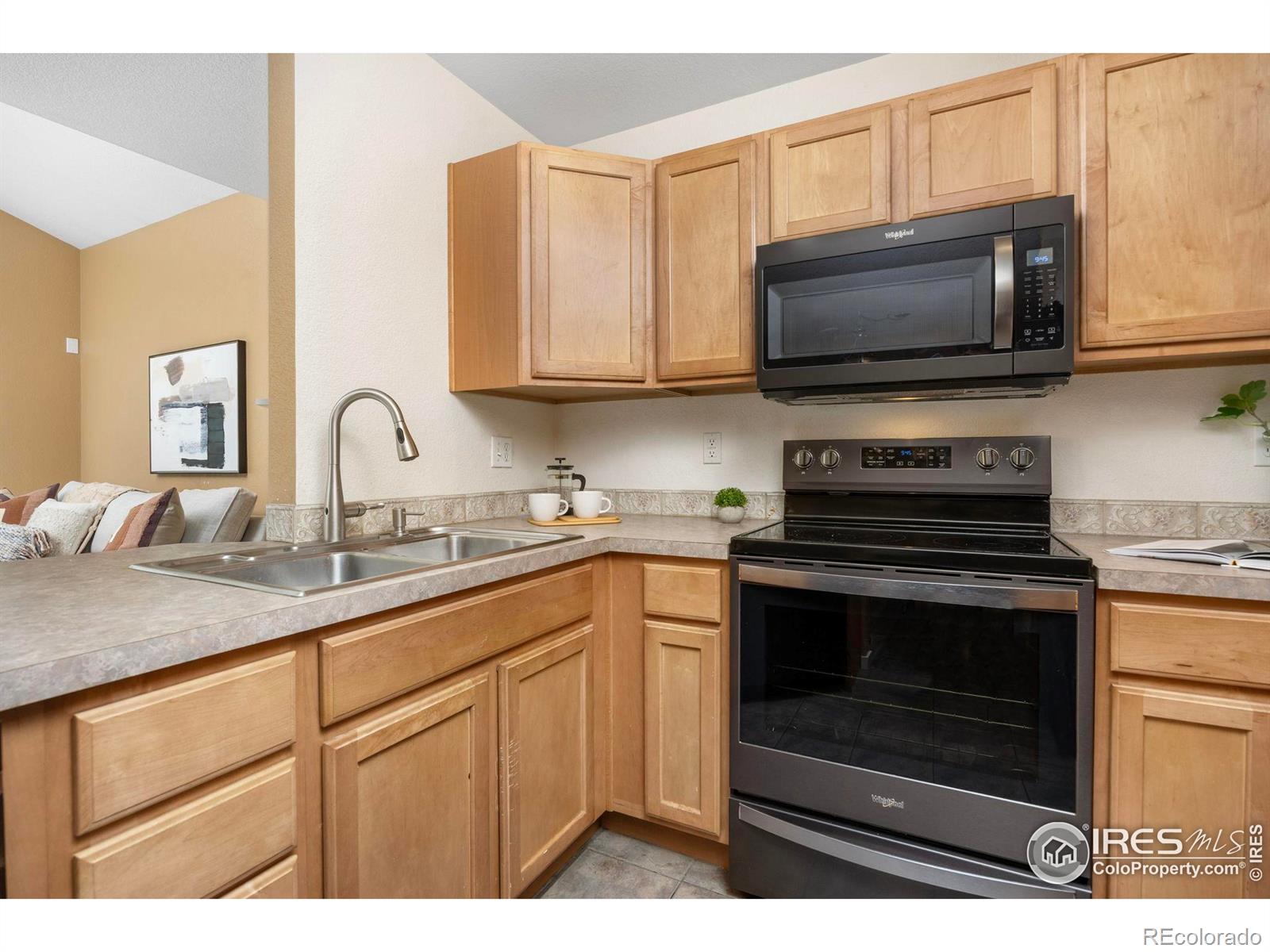 MLS Image #6 for 14246  pikeminnow place,broomfield, Colorado