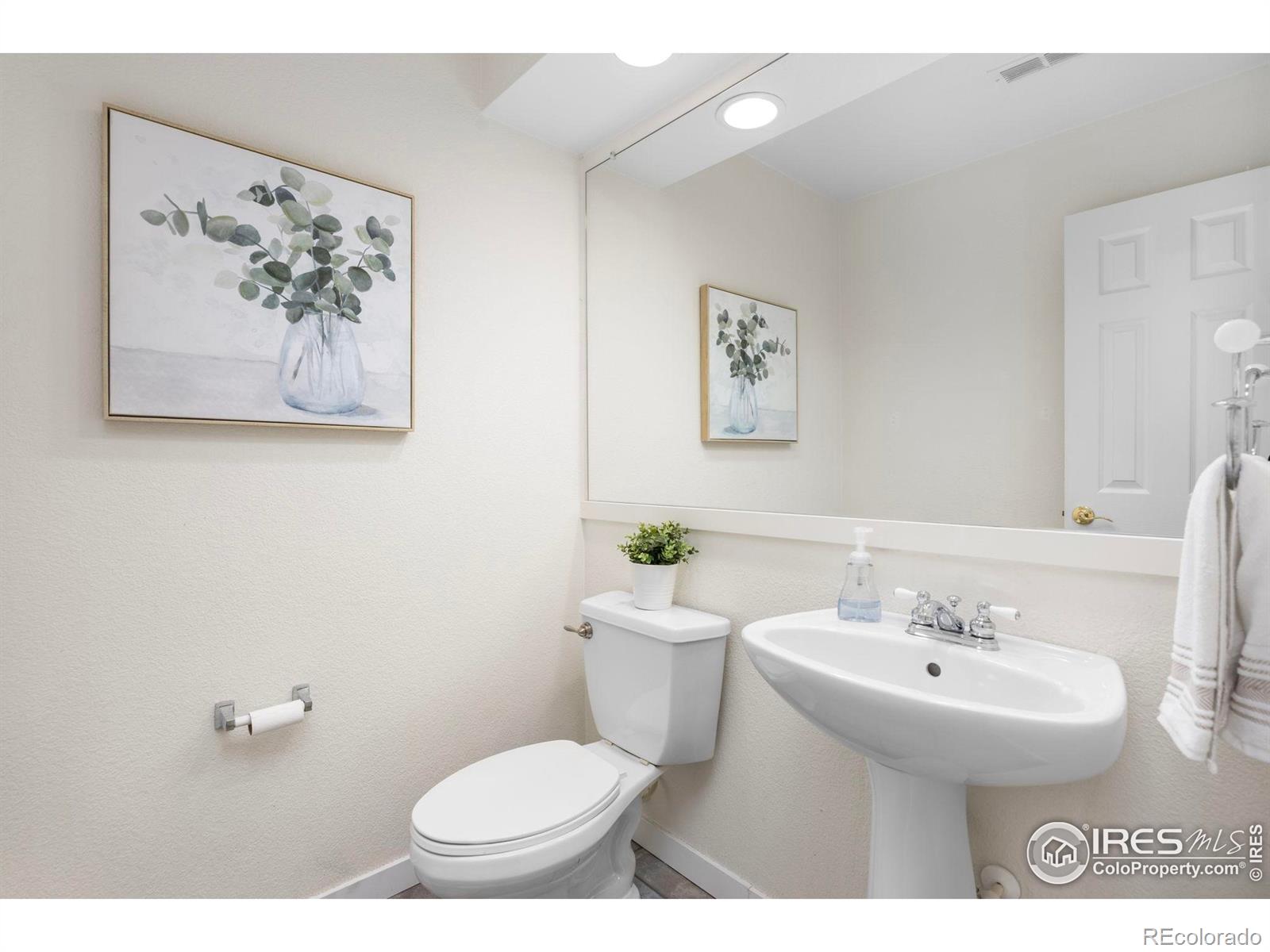 MLS Image #7 for 14246  pikeminnow place,broomfield, Colorado