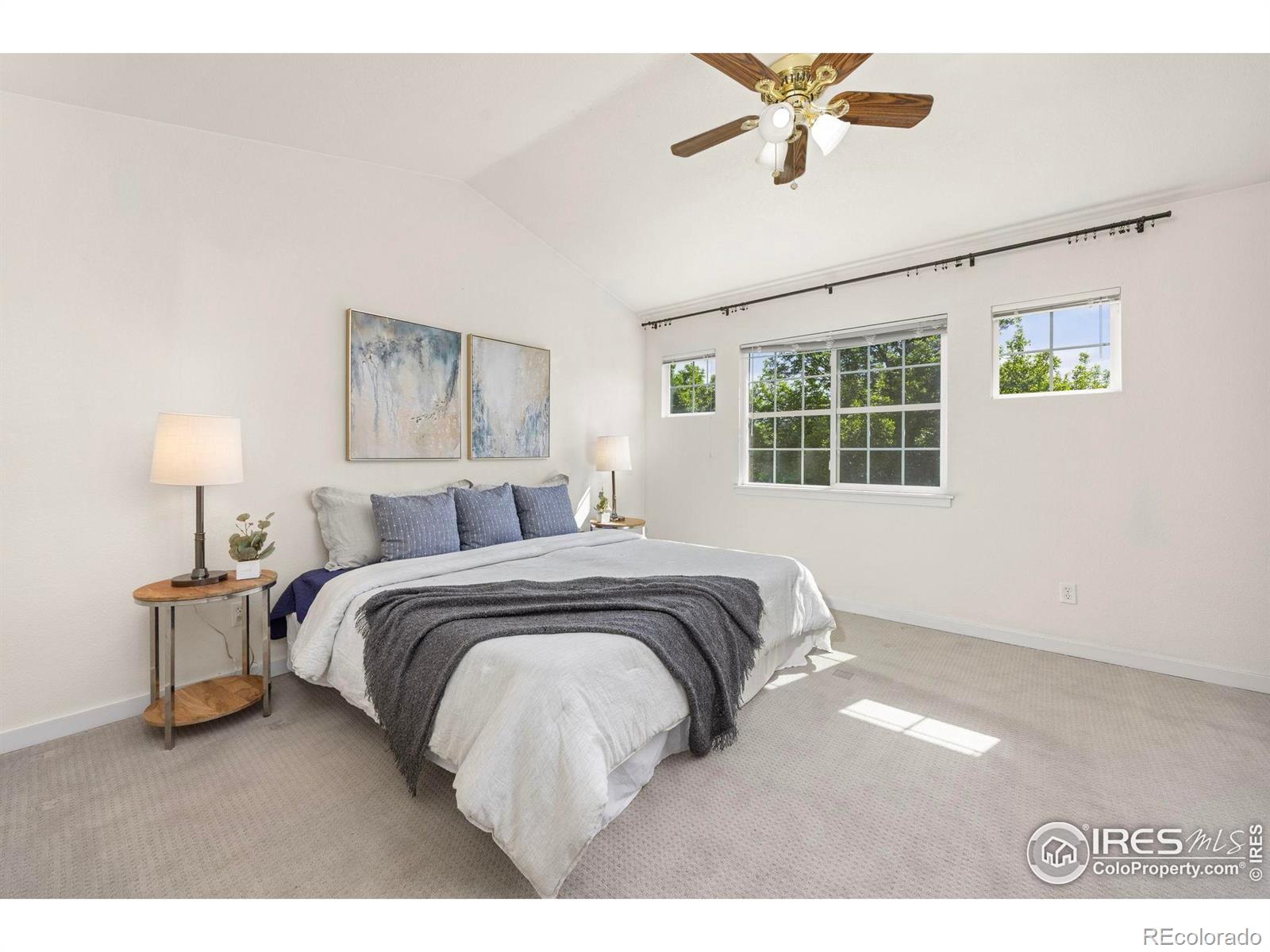MLS Image #8 for 14246  pikeminnow place,broomfield, Colorado