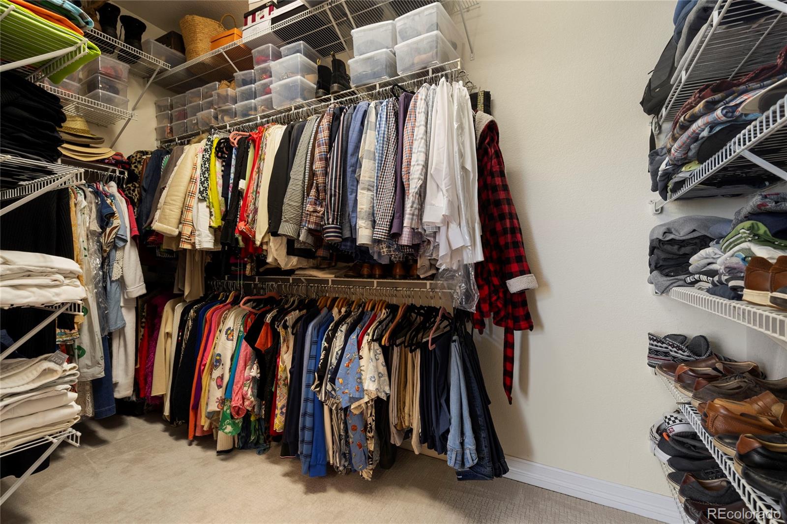 MLS Image #18 for 744  kryptonite drive,castle rock, Colorado