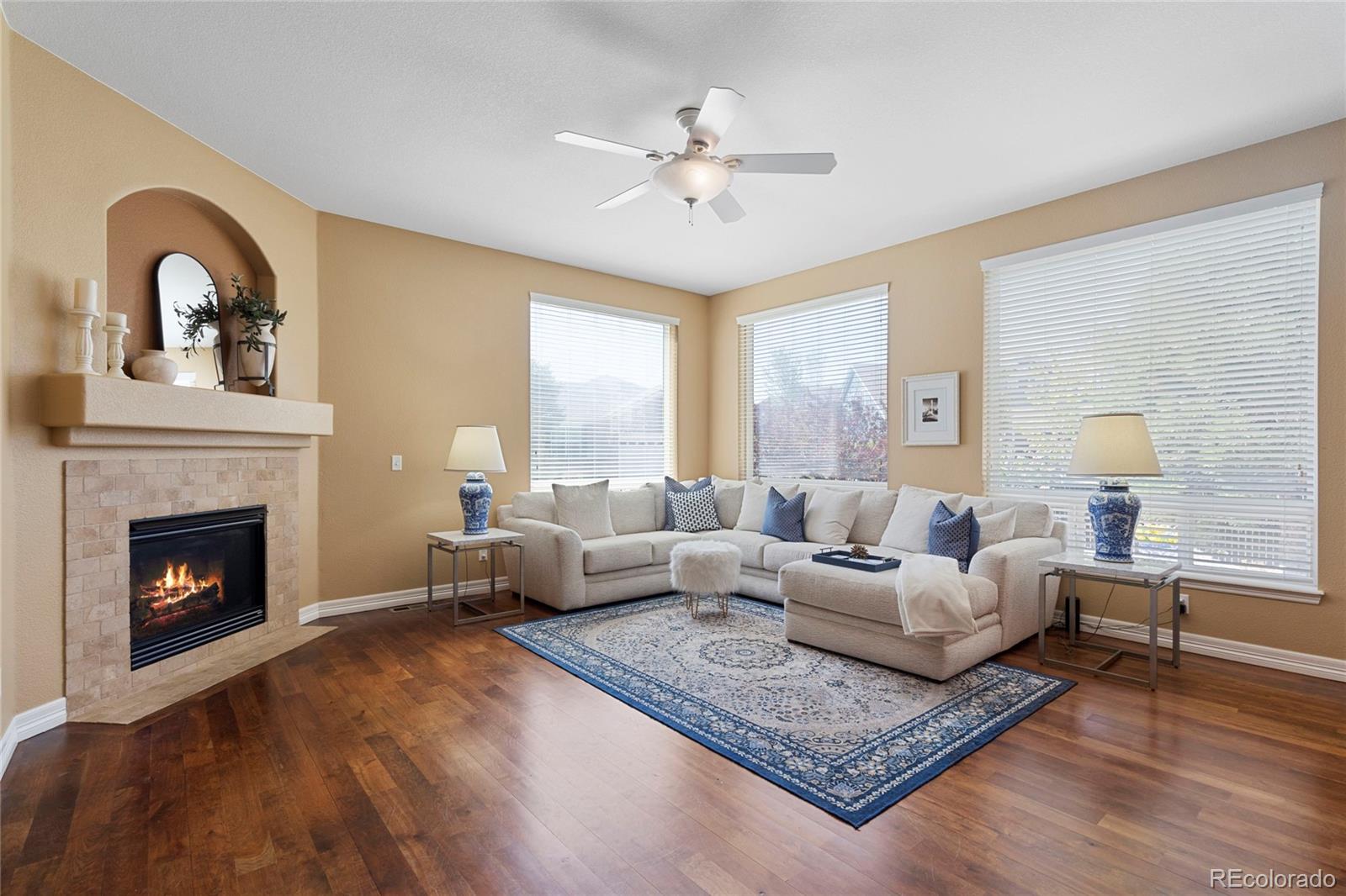 MLS Image #8 for 744  kryptonite drive,castle rock, Colorado