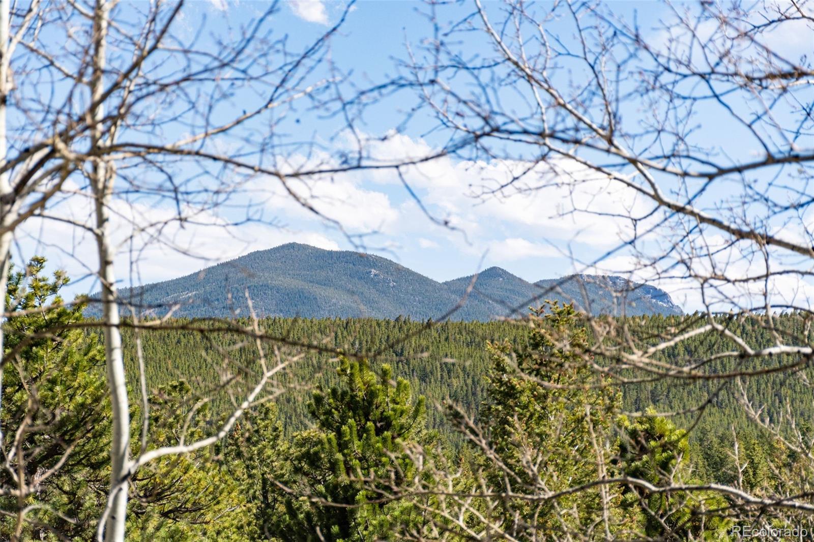 MLS Image #34 for 597  pine glade road,nederland, Colorado