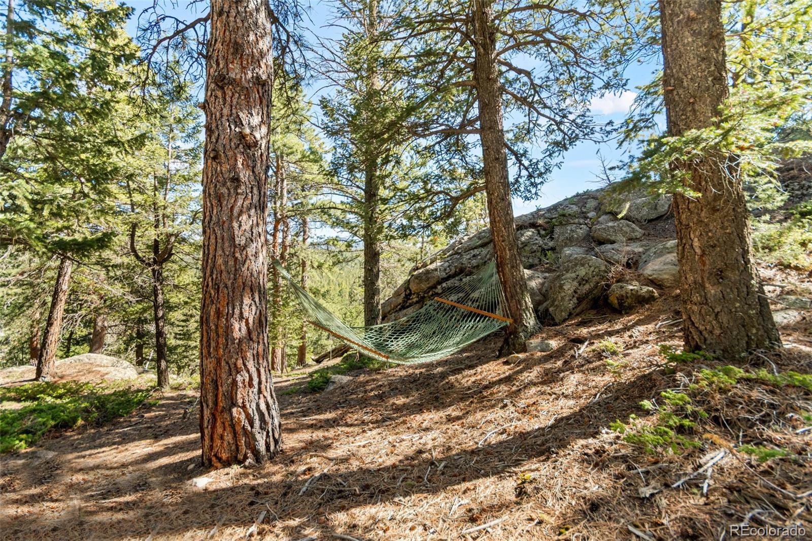 MLS Image #35 for 597  pine glade road,nederland, Colorado