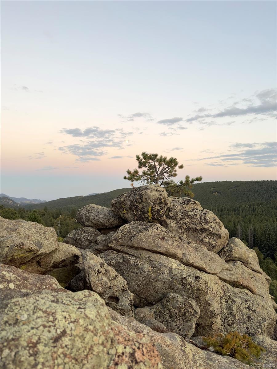 MLS Image #43 for 597  pine glade road,nederland, Colorado
