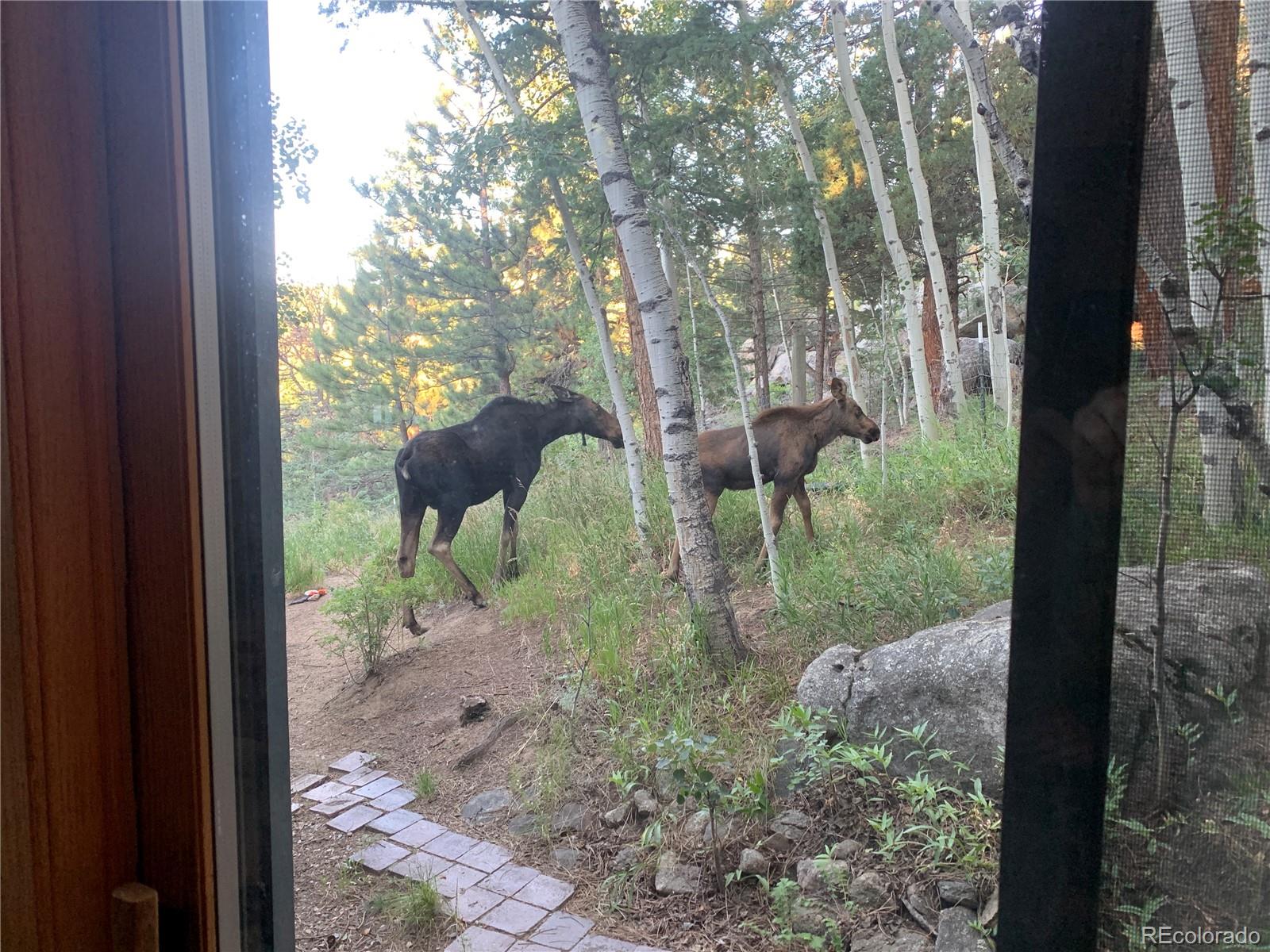 MLS Image #44 for 597  pine glade road,nederland, Colorado