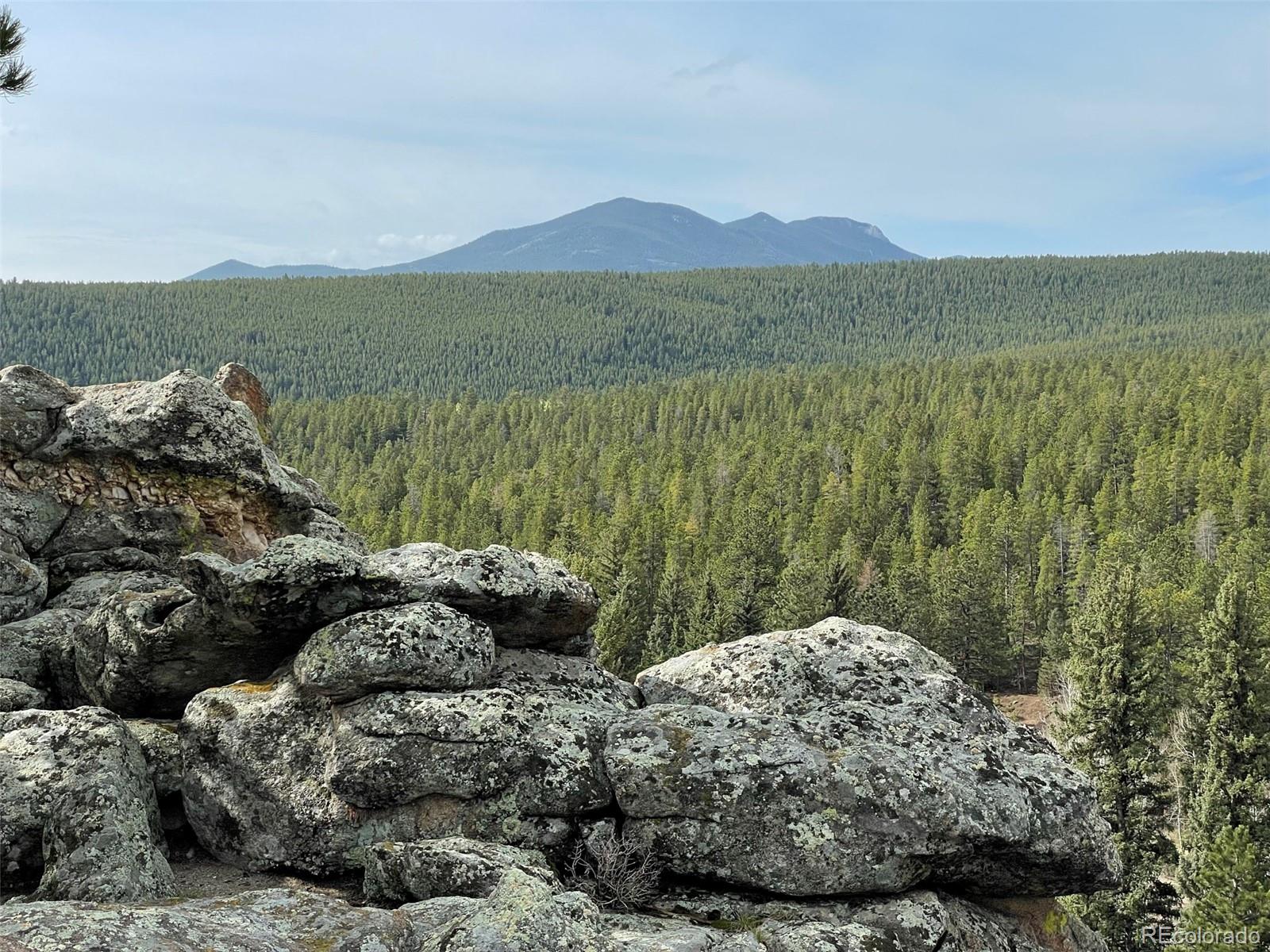 MLS Image #47 for 597  pine glade road,nederland, Colorado